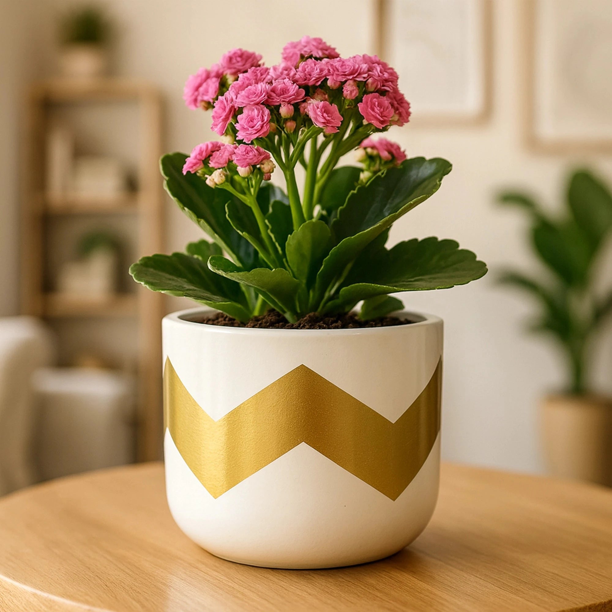 Nova Terracotta Pot Terracotta Pot Urban Plant White