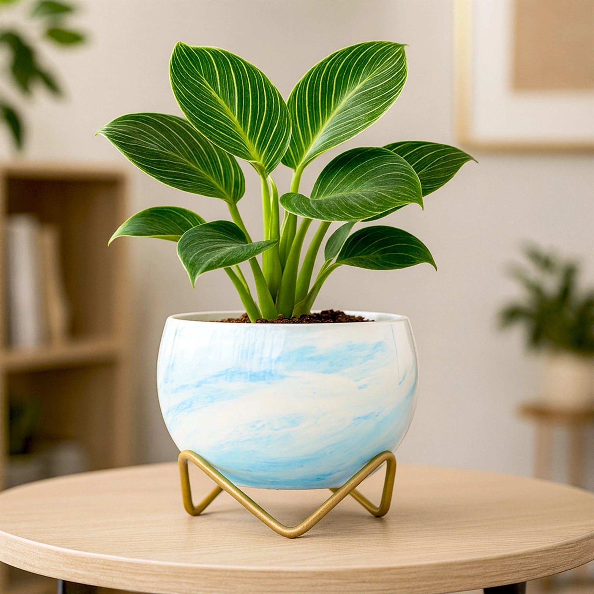 Petite Metal Pots Metal Planter Urban Plant Blue Marble