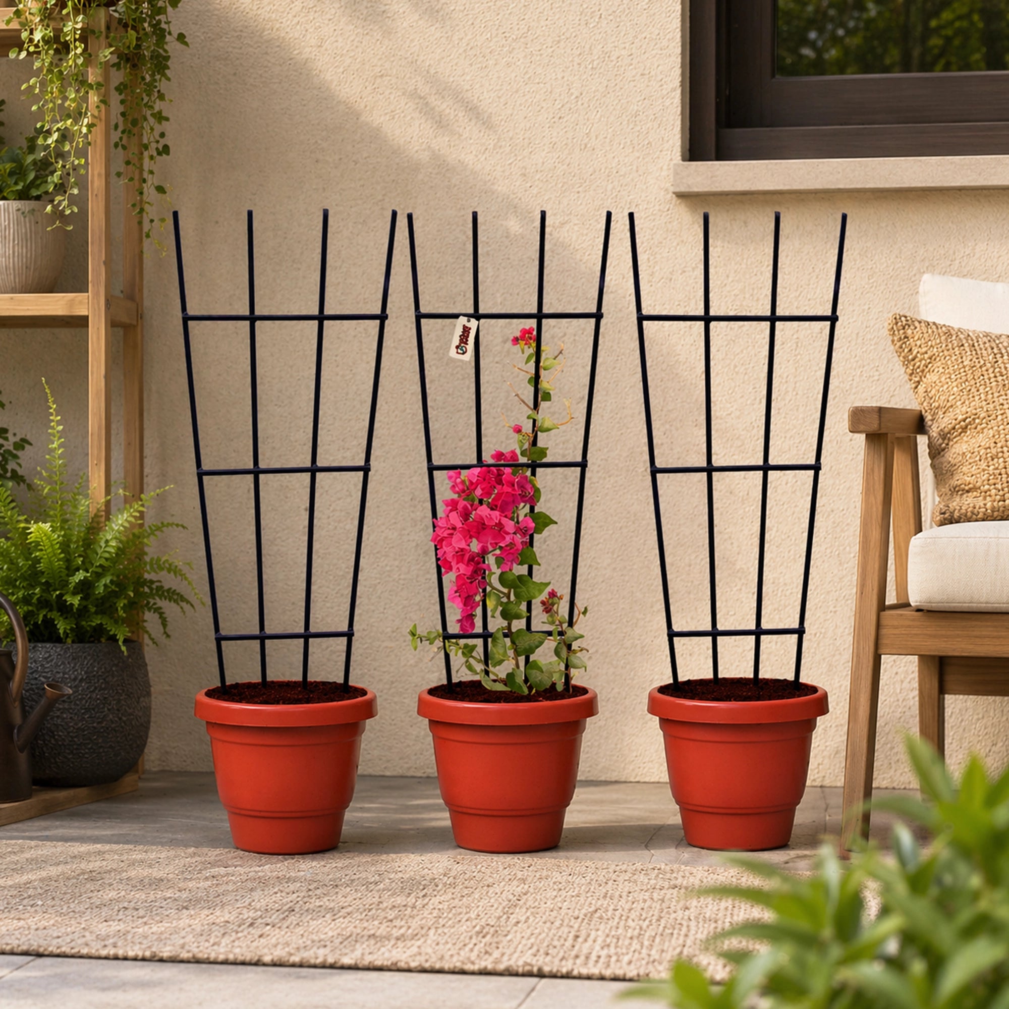 Urban Plant Greenweave Trellis for Climbing Plants Gardening Accessories Urban Plant Pack of 3