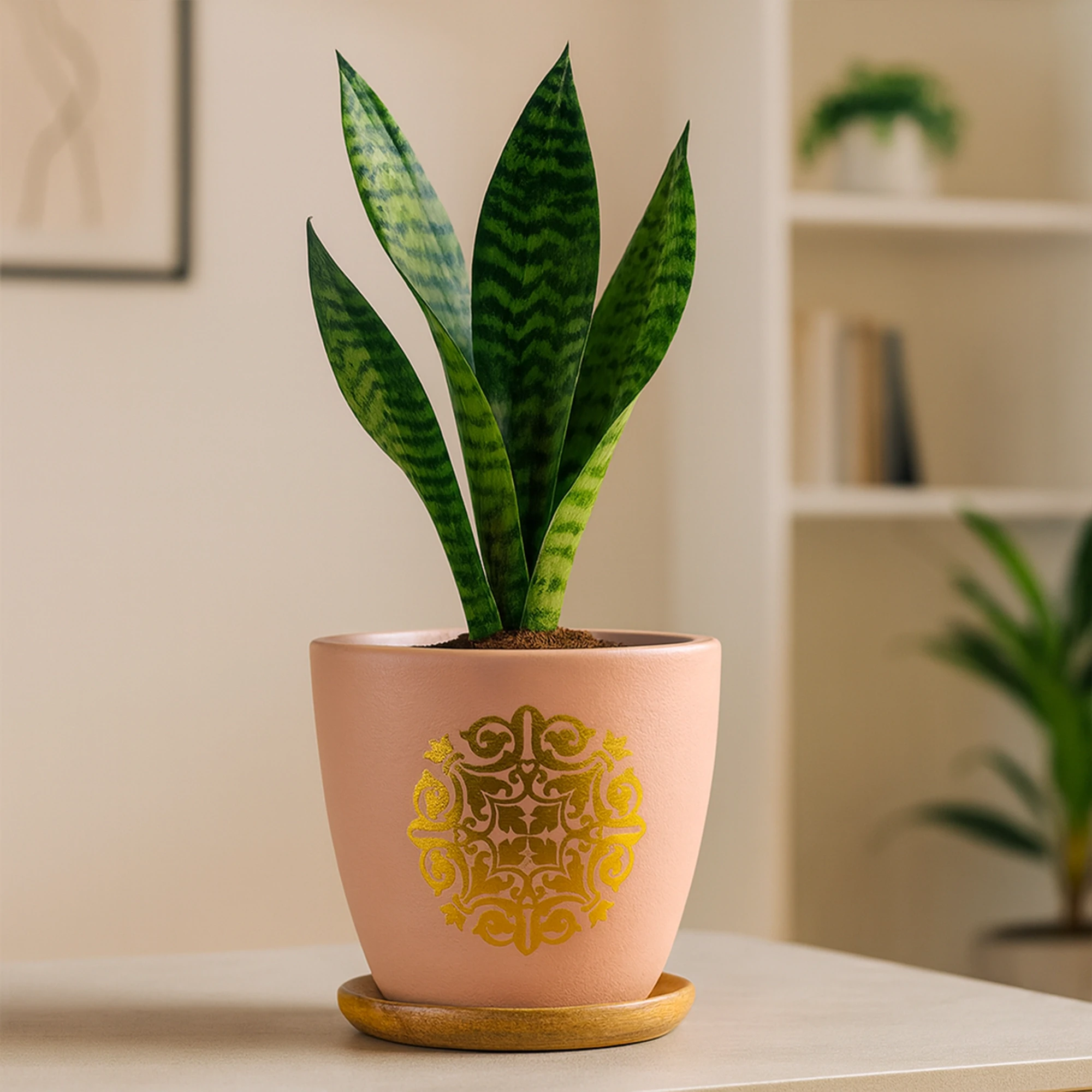 Motif Terracotta Pot With Wooden Saucer Urban Plant Pink