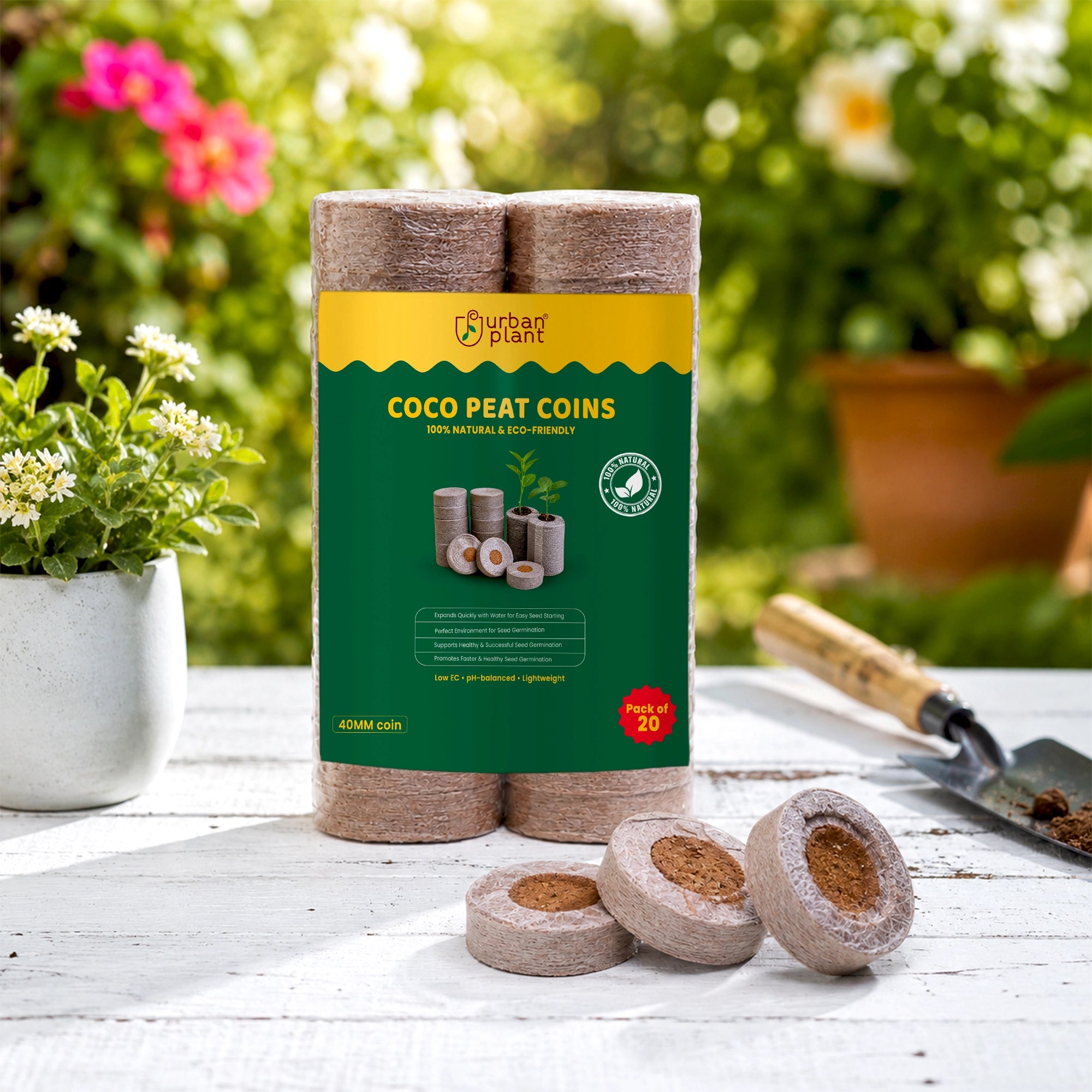 Cocopeat Seedling Coin - (with Plug)