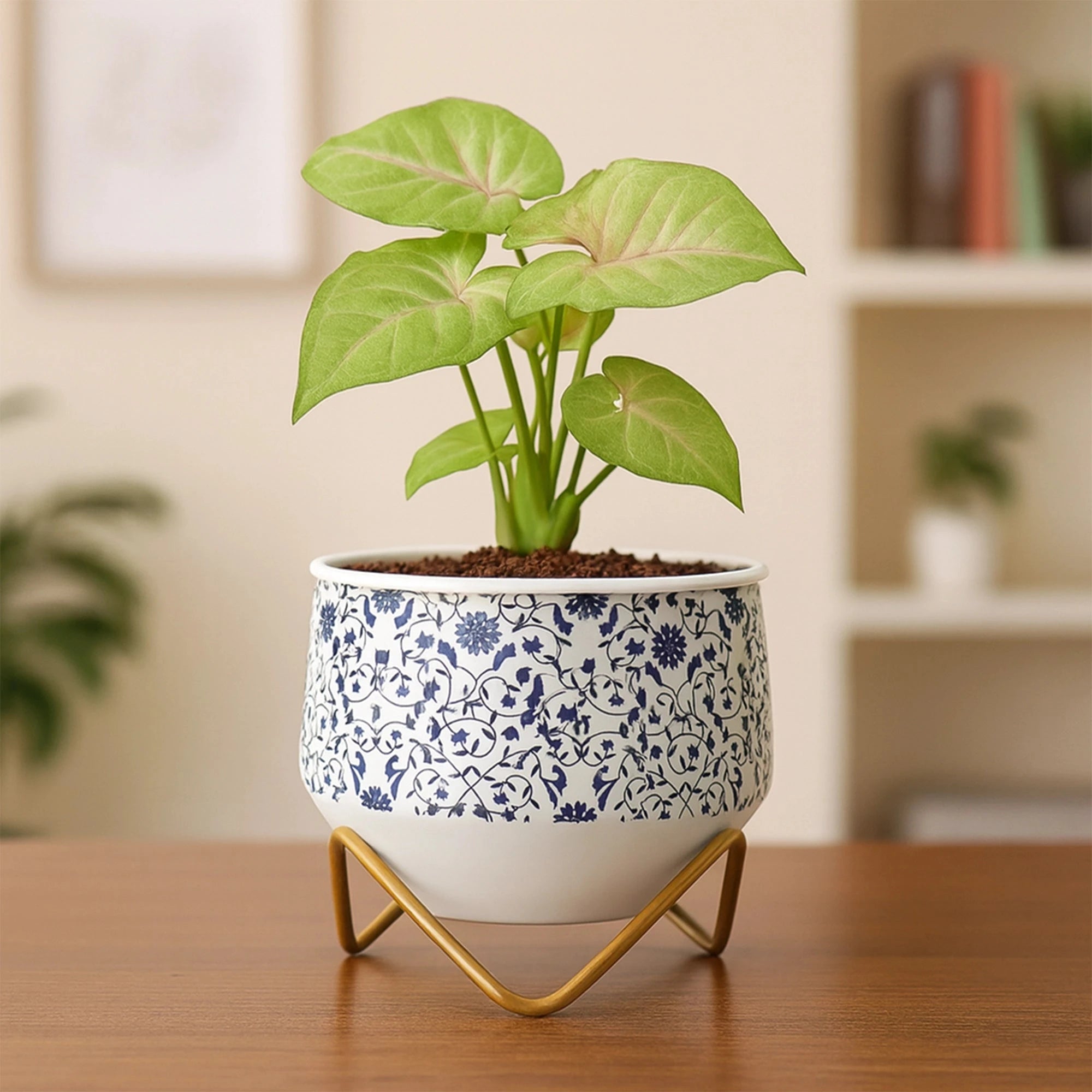Caramel Metal Planter Metal Planter Urban Plant Blue Pottery