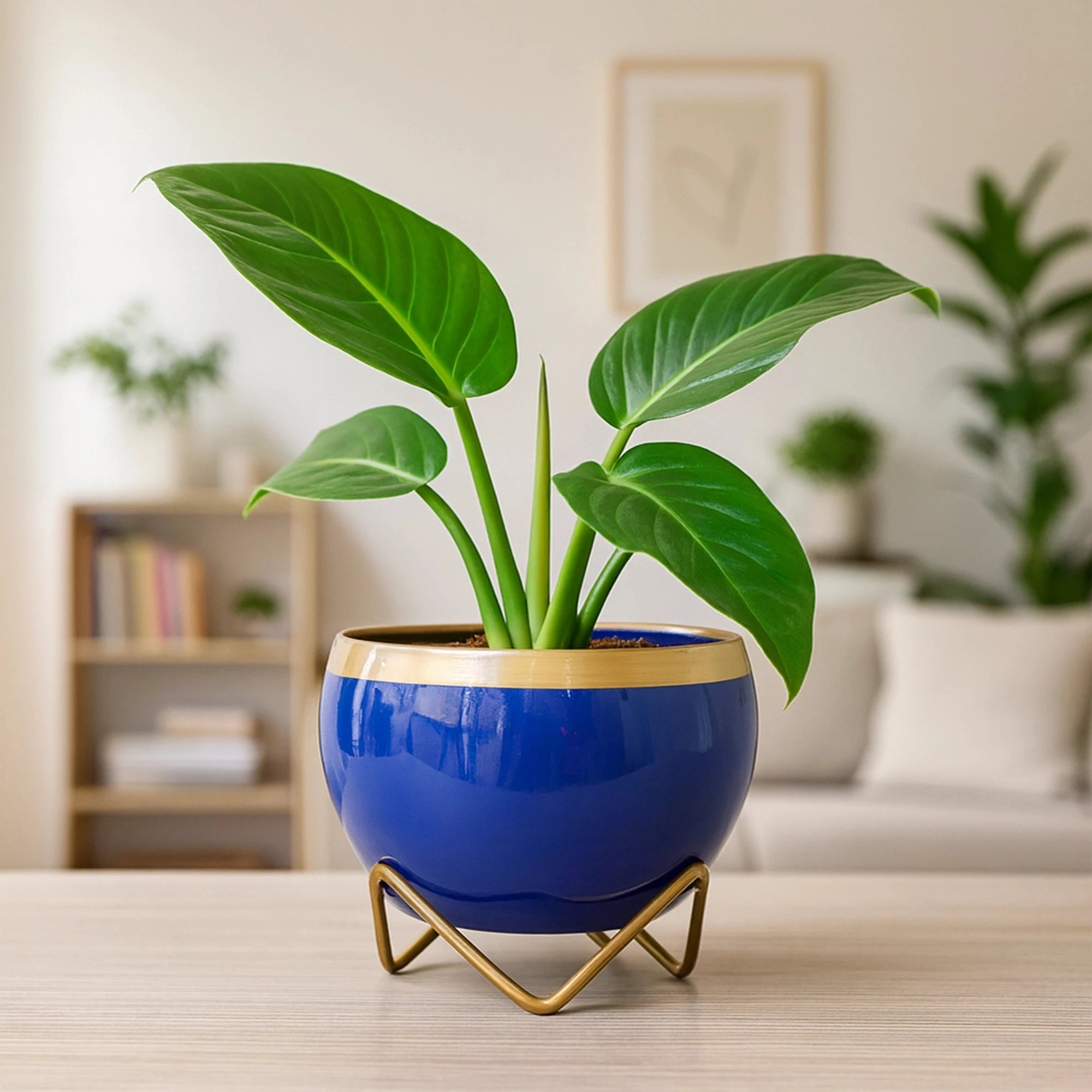 Petite Metal Pots Metal Planter Urban Plant Blue Gold