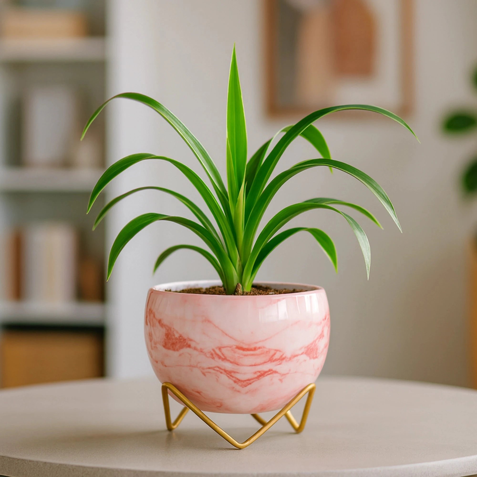 Petite Metal Pots Metal Planter Urban Plant Pink Marble