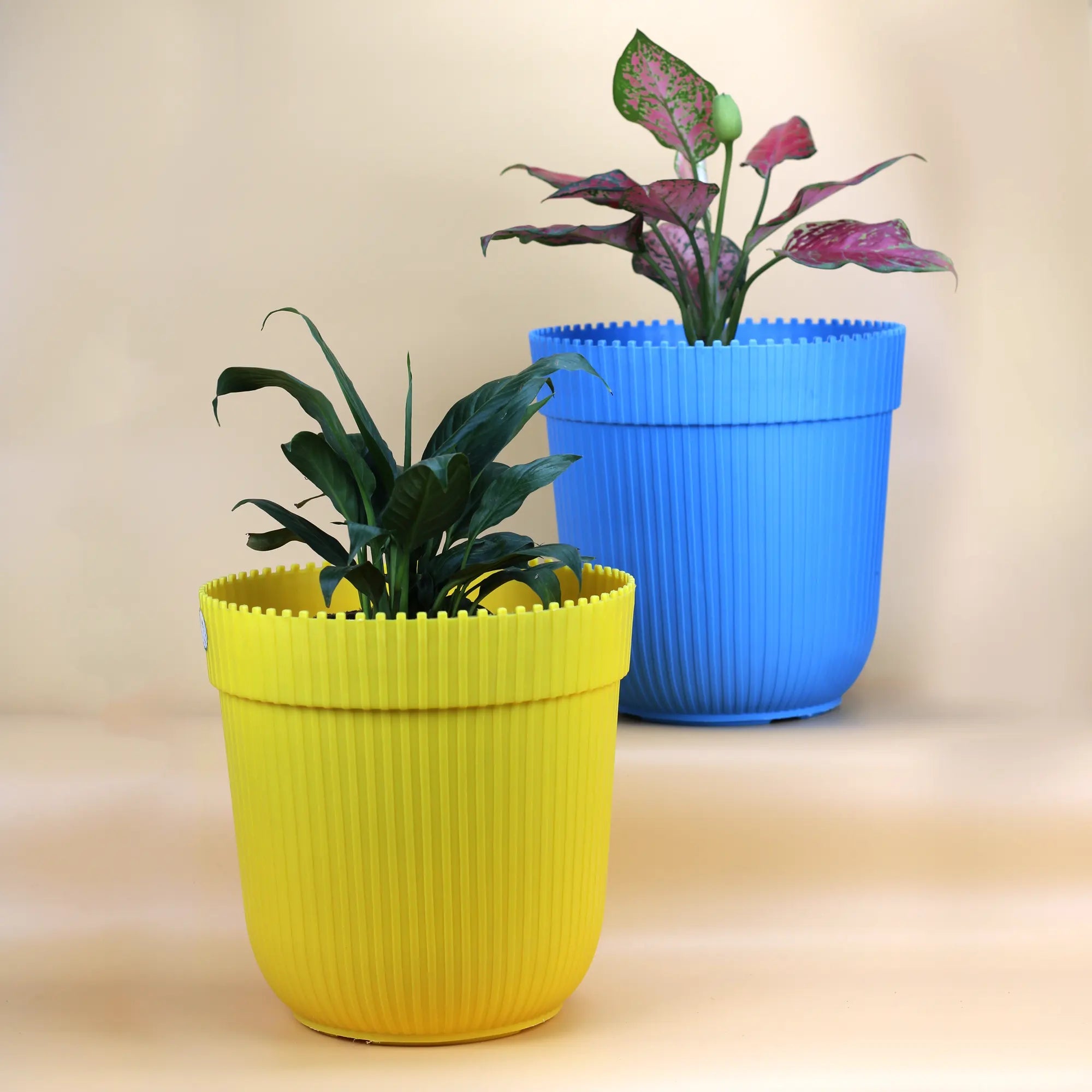 Plastic Round Shape Planter Pot -Set of 2 (10 inch) Urban Plant 