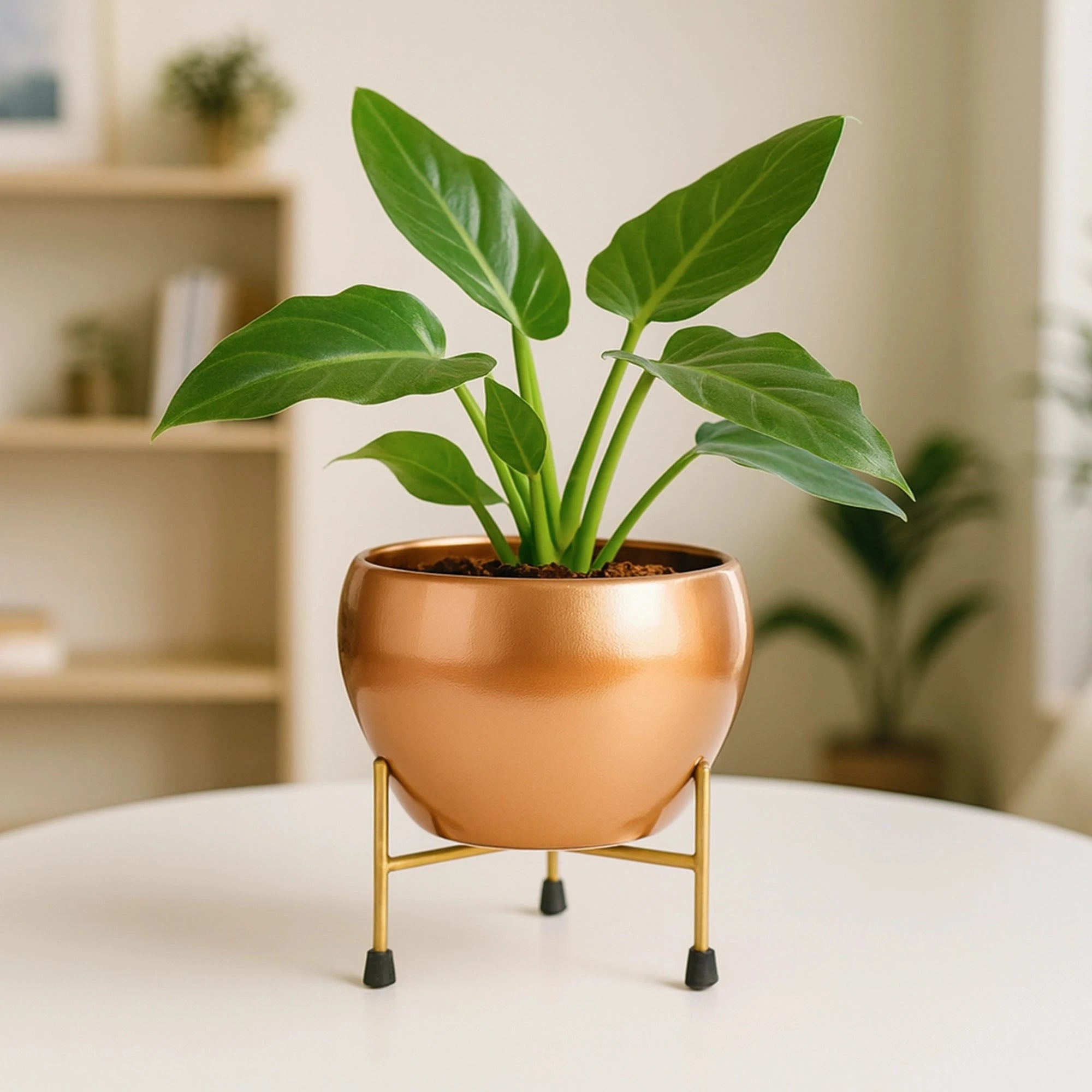Seraphine Pot with Stand Metal Planter Urban Plant