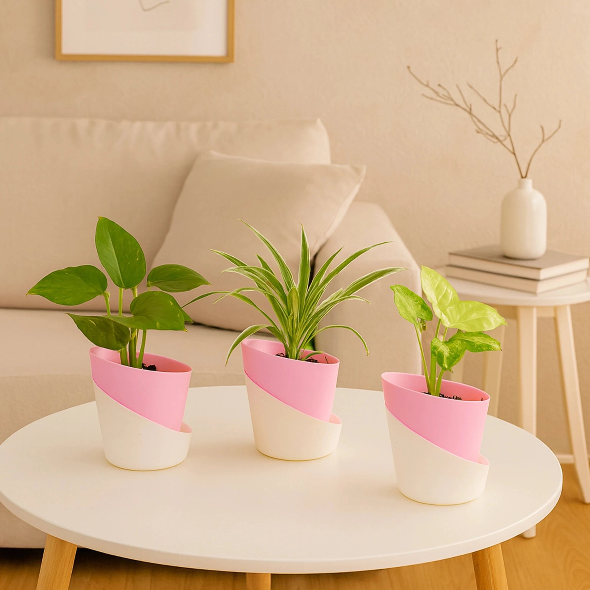 Satin Self Watering Pot Plastic Pot Urban Plant Pink 3