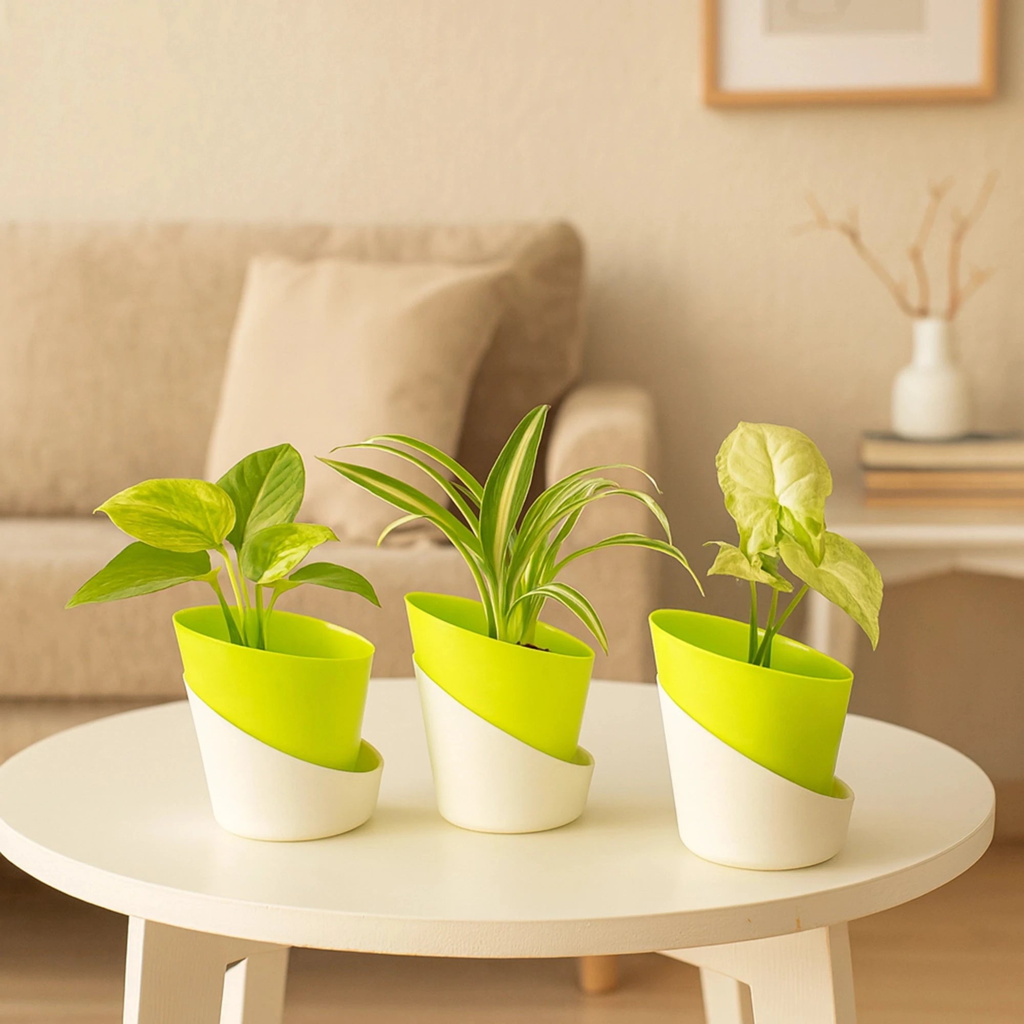 Satin Self Watering Pot Plastic Pot Urban Plant Green 3