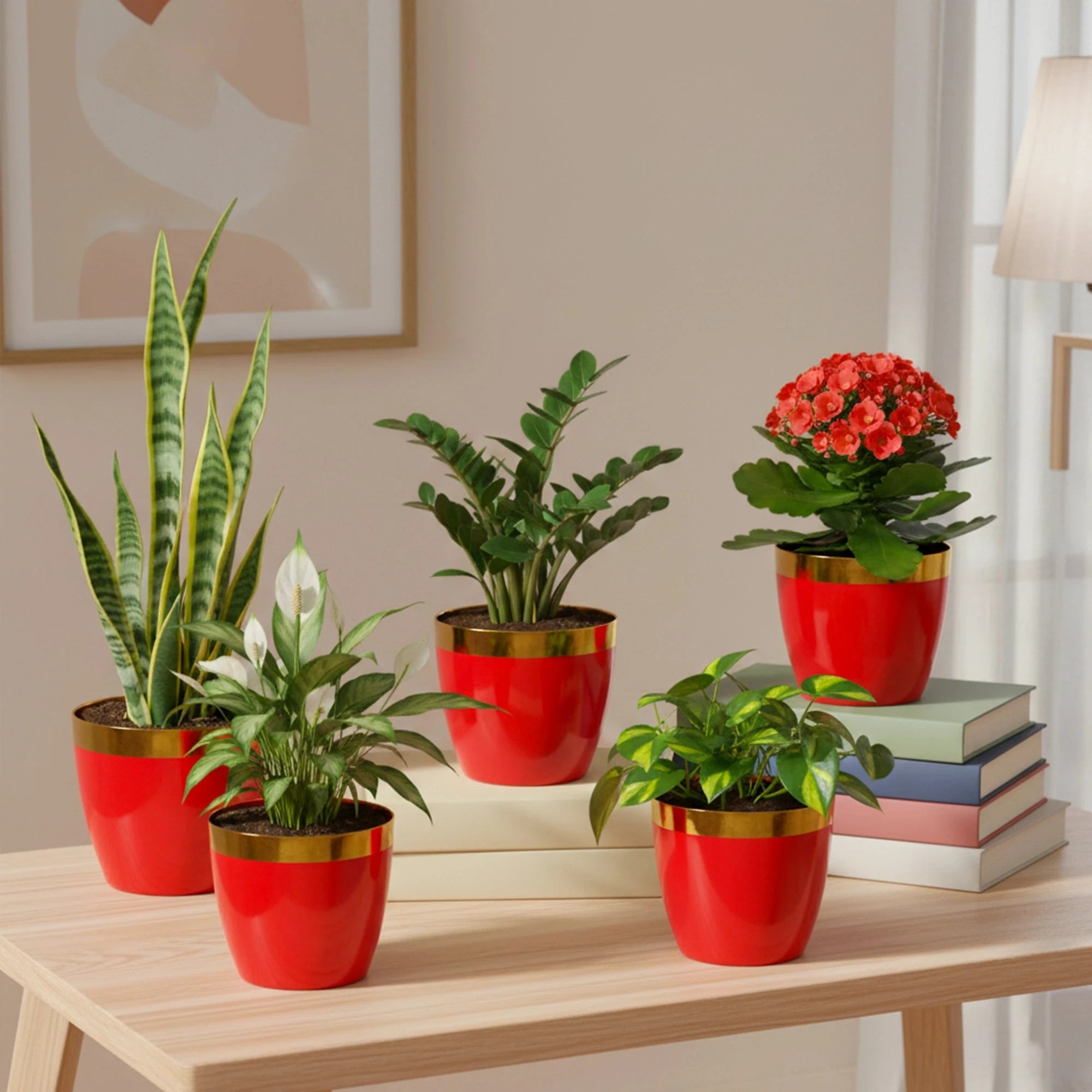 Plantura Pots- (Set of 5) Plastic Pot Urban Plant Red