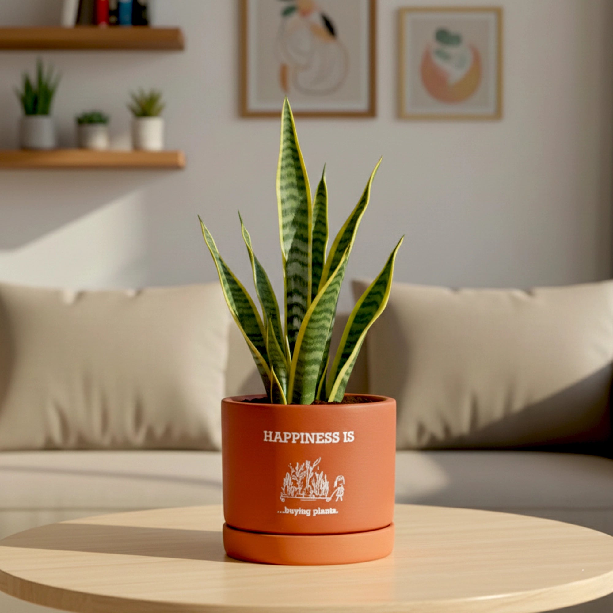 Joy Root Terracotta Pot with Saucer Primary Image