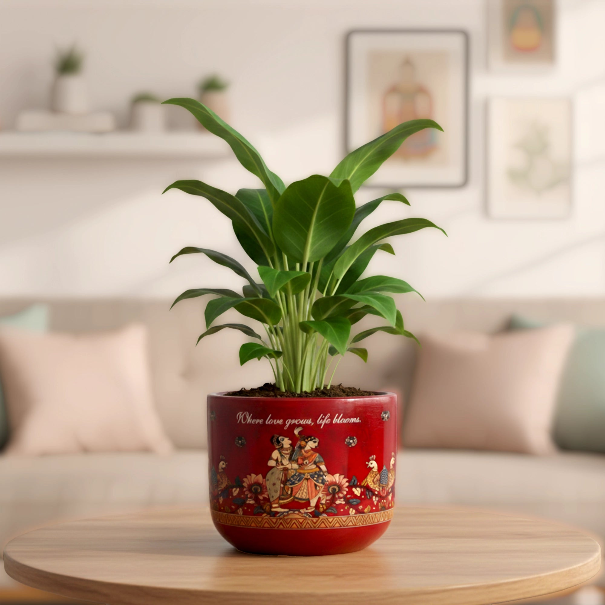 RANG 3D Print Terracotta Pot with Saucer in Sahnayi Red by Urban Plant