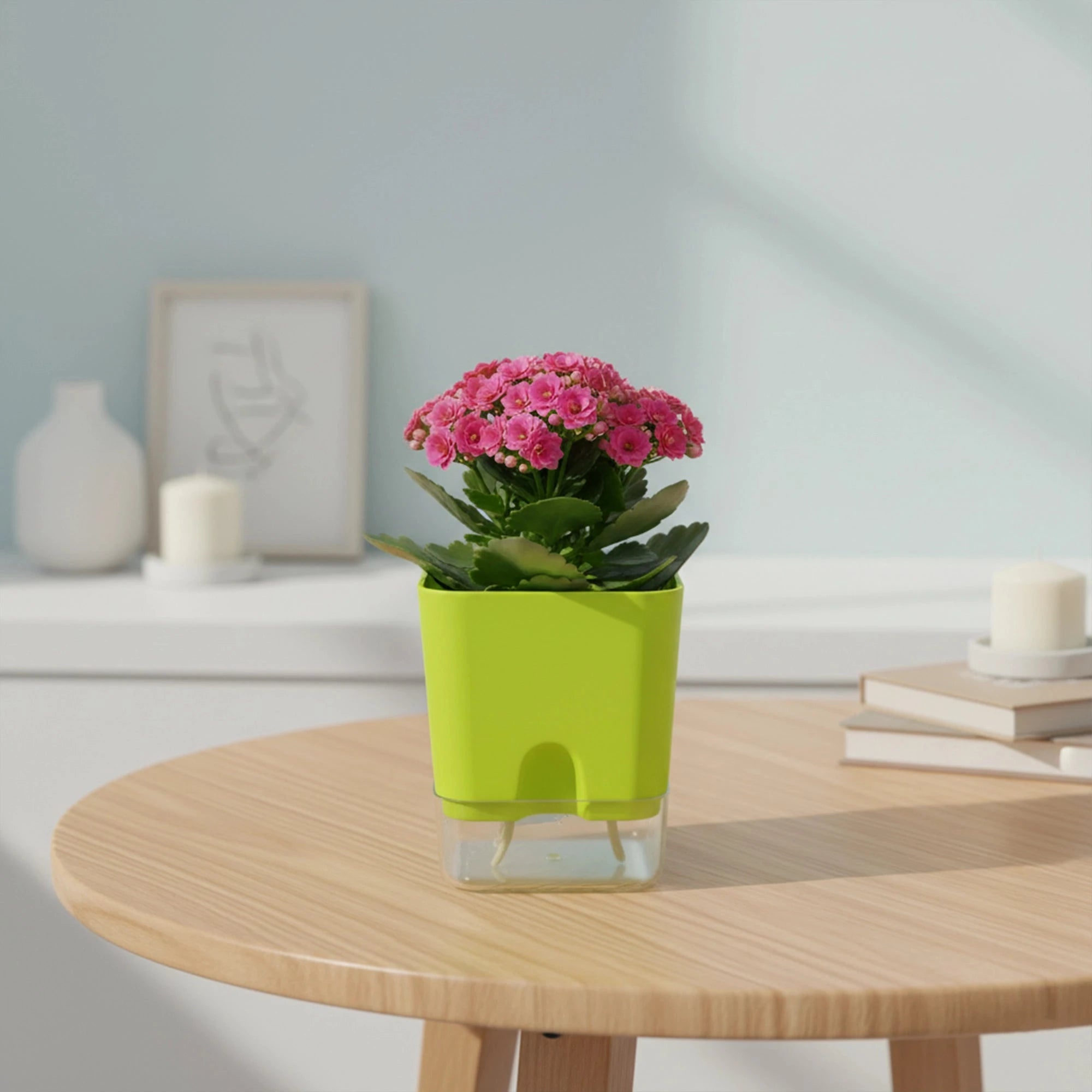 Aquaflow Self Watering Pot Plastic Pot Urban Plant Green 1