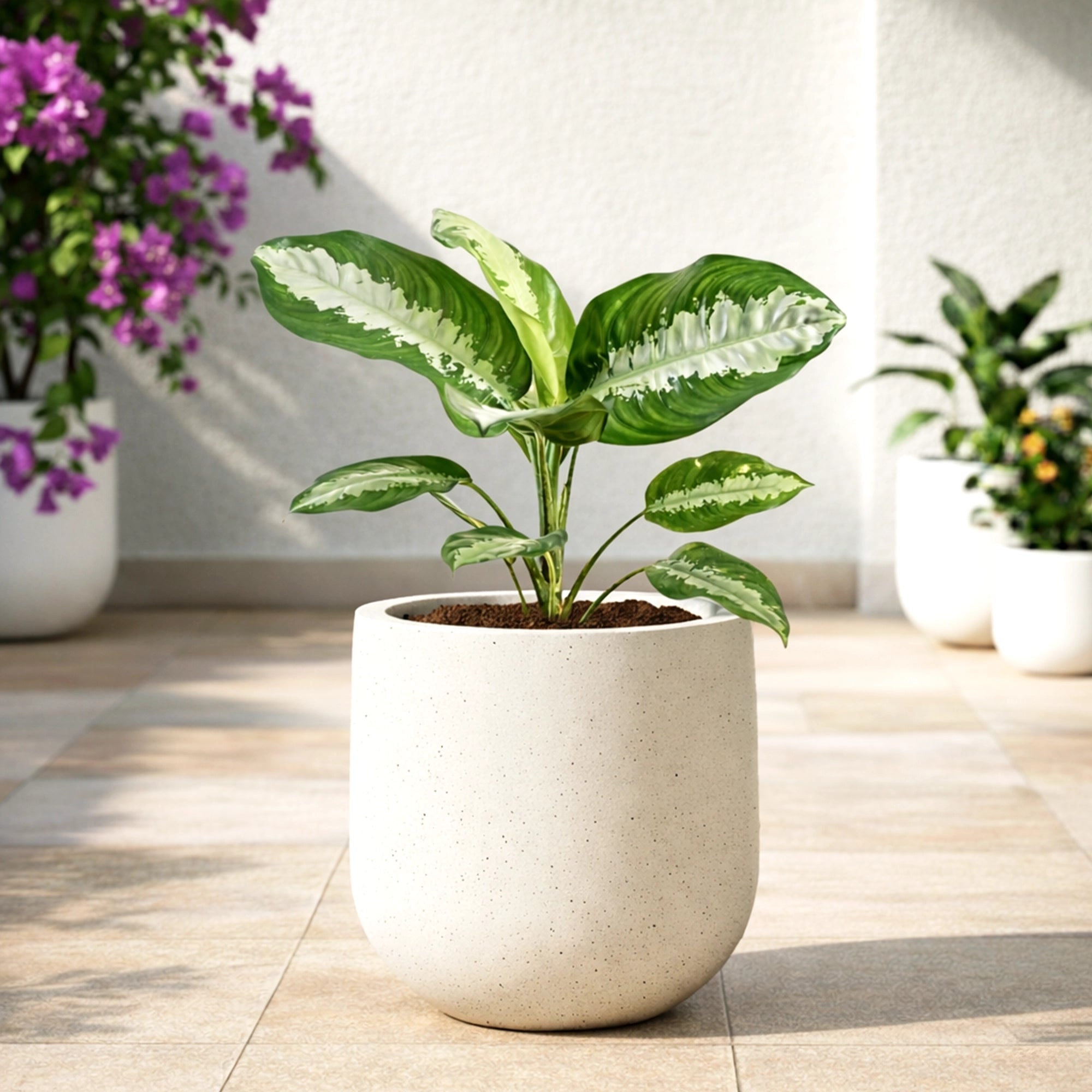 ORBIS Planter – L17 (5 Years Warranty)