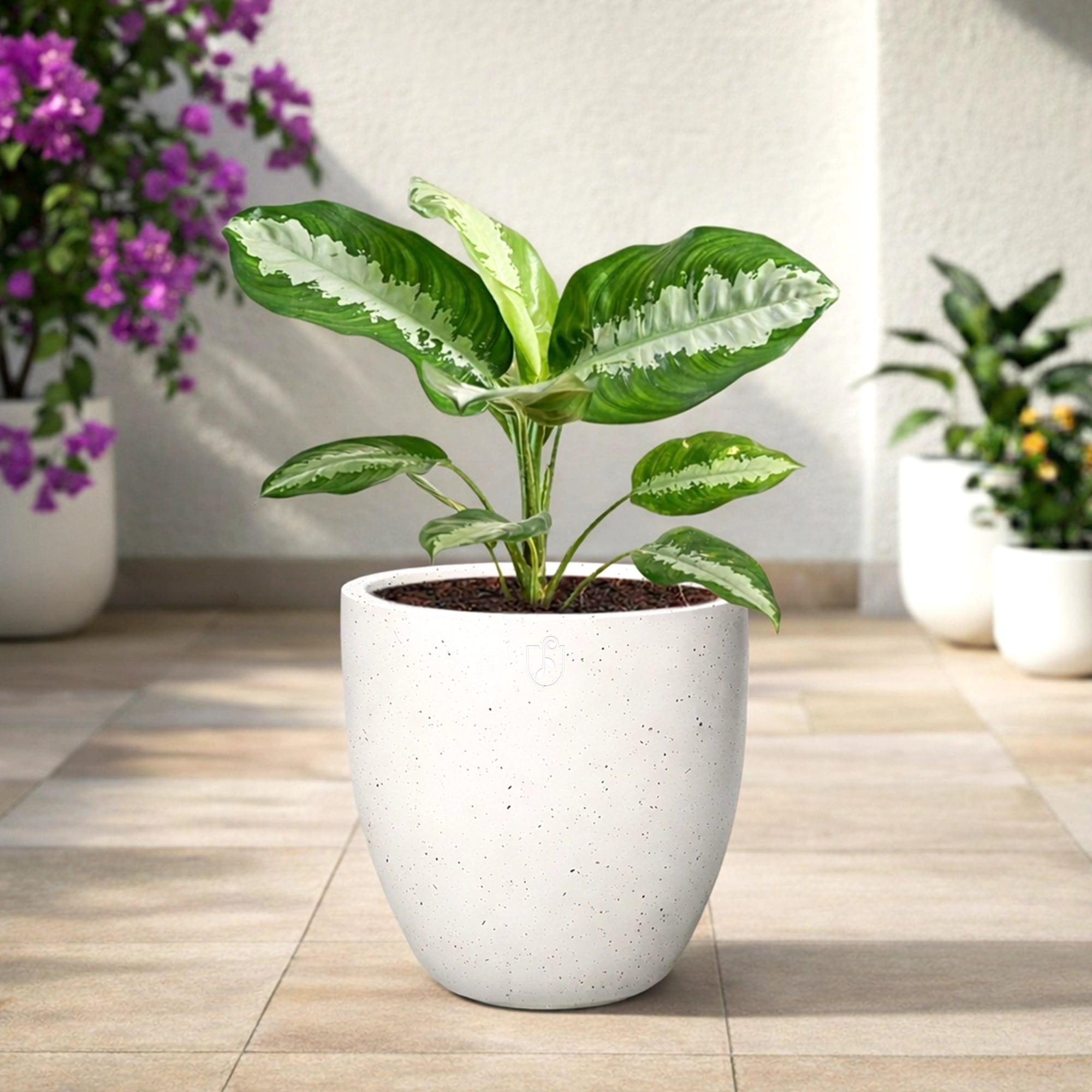 CURVA Planter – M14 (5 Years Warranty)