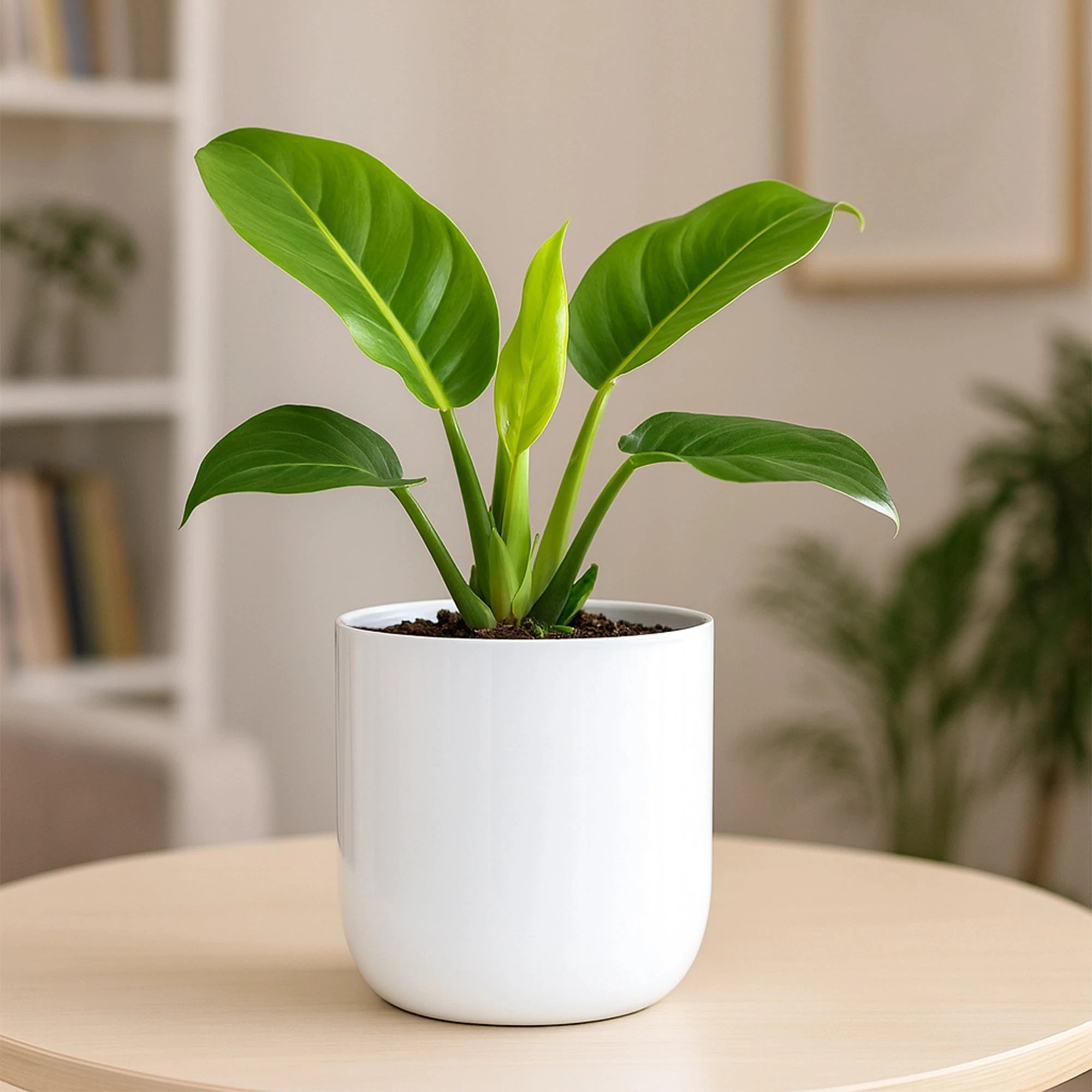 Metallic Miniature Planter (White - Pack of 1) Metal Planter Urban Plant