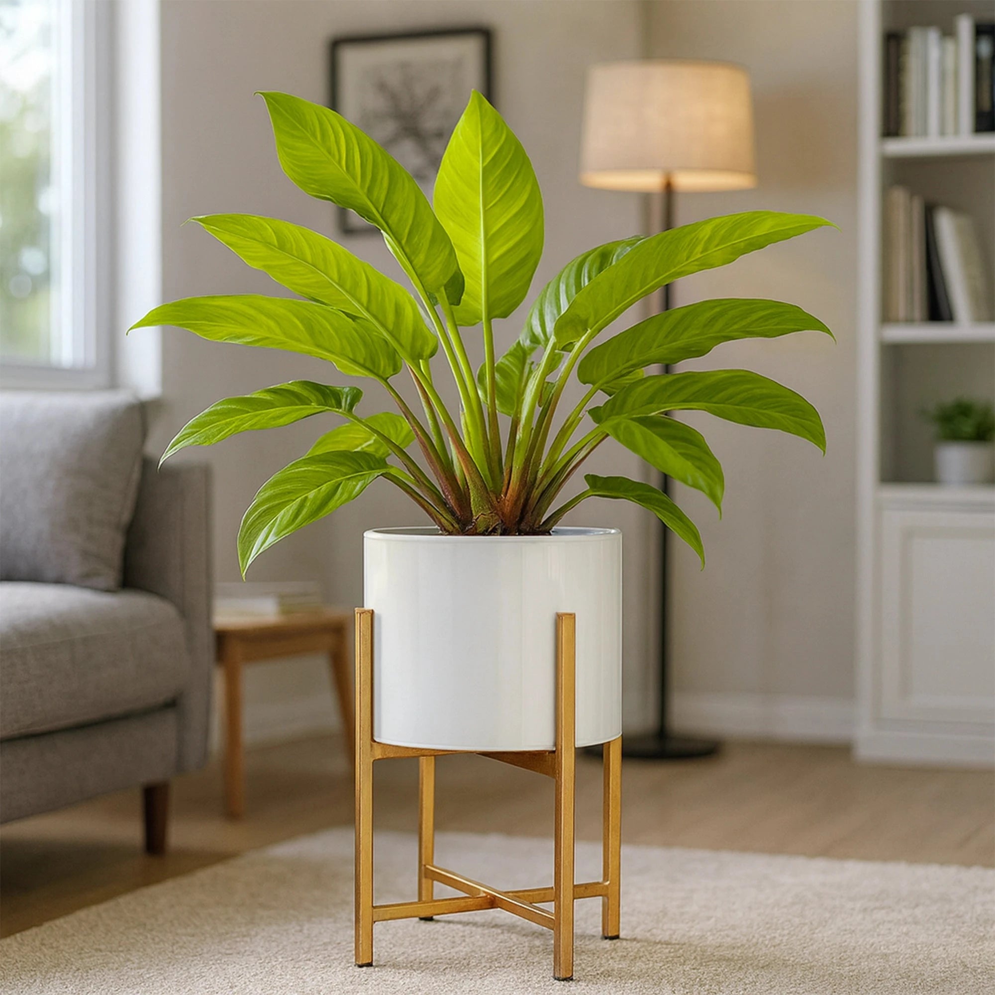 Scandinavian Home Decor Planter Metal Planter Urban Plant