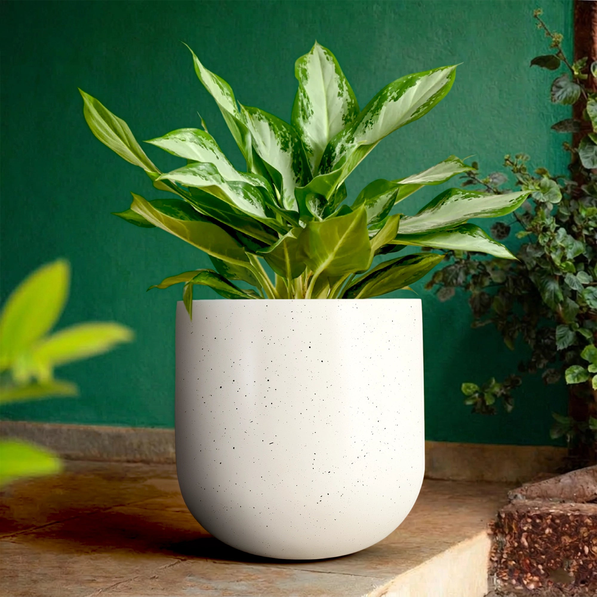 ORBIS Planter – L17 (5 Years Warranty) | Urban Plant
