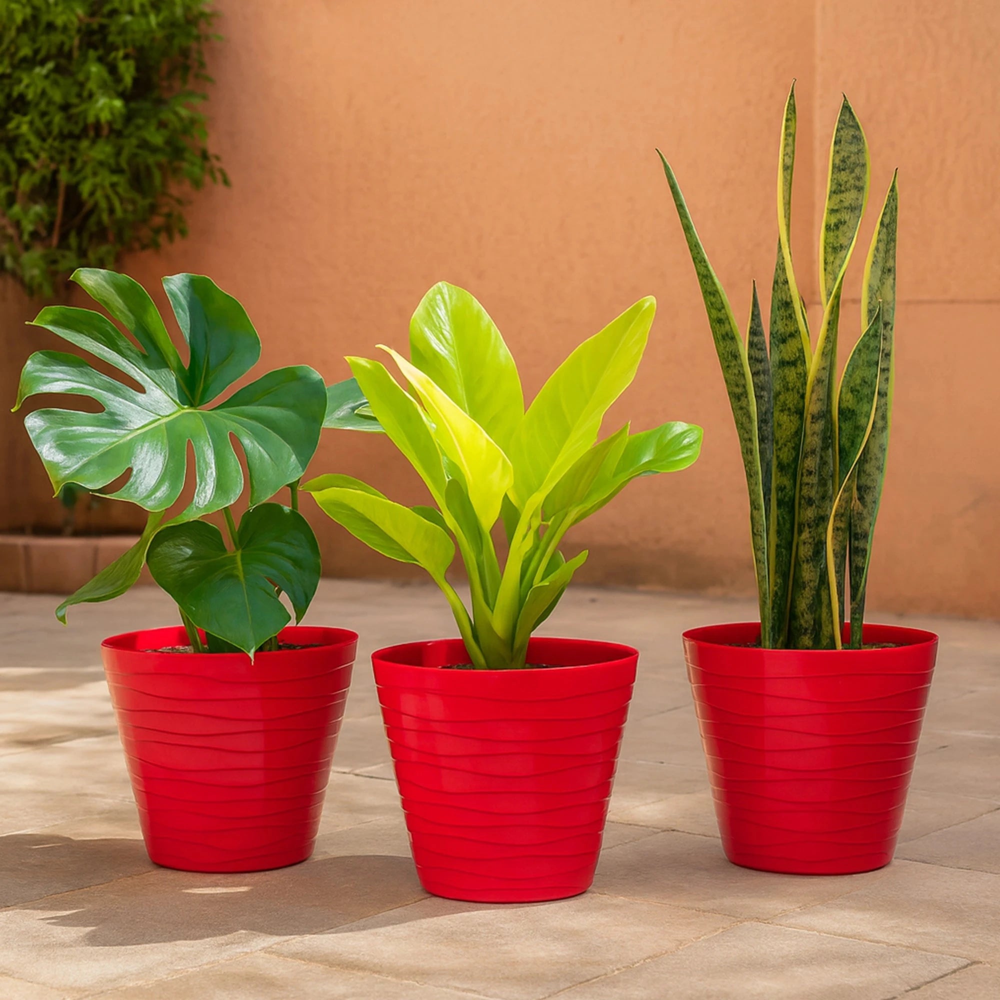 Plastic Matrix Pots - (Set of 3) Plastic Pot Urban Plant