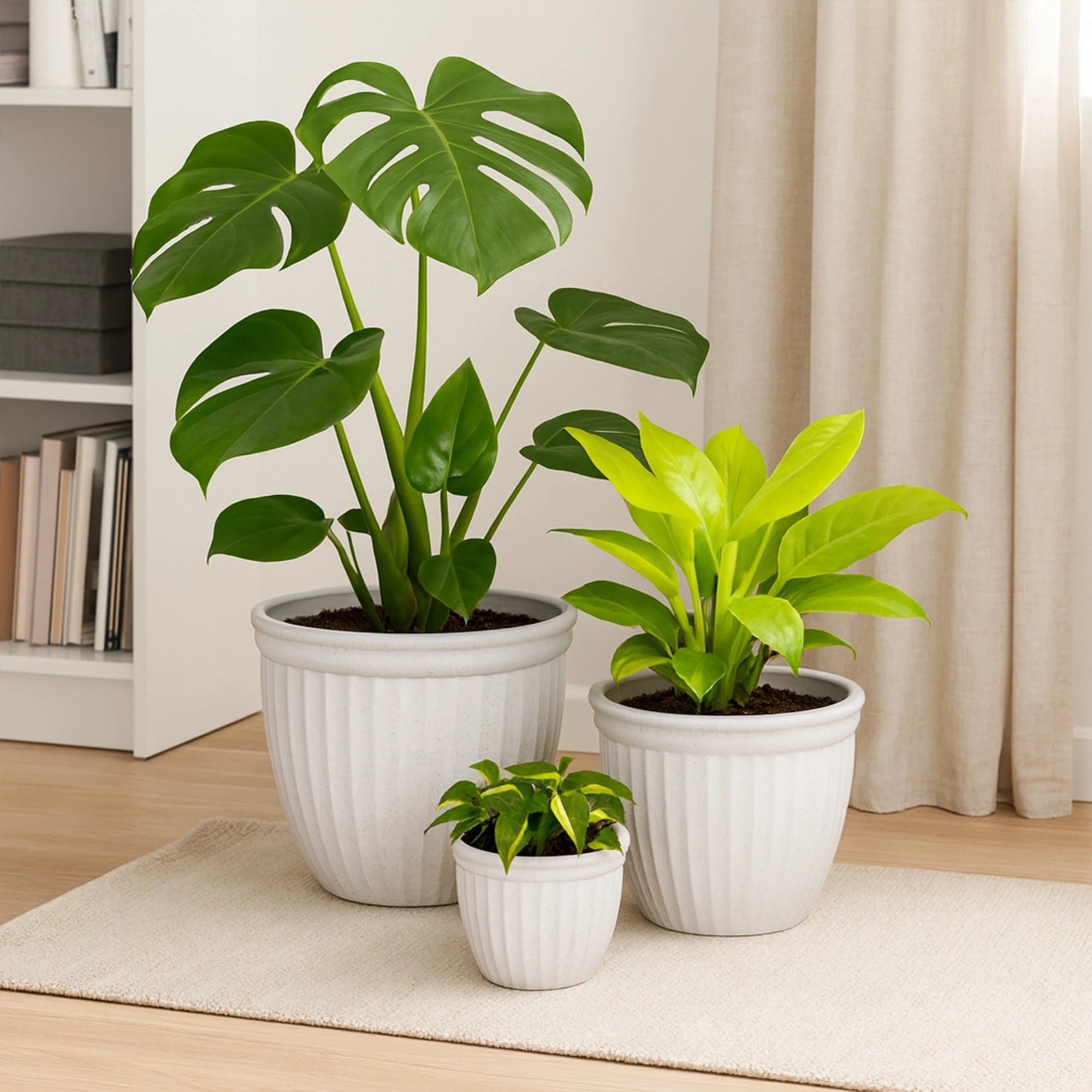 Lotus Planters - (Set of 3) Plastic Pot Urban Plant White