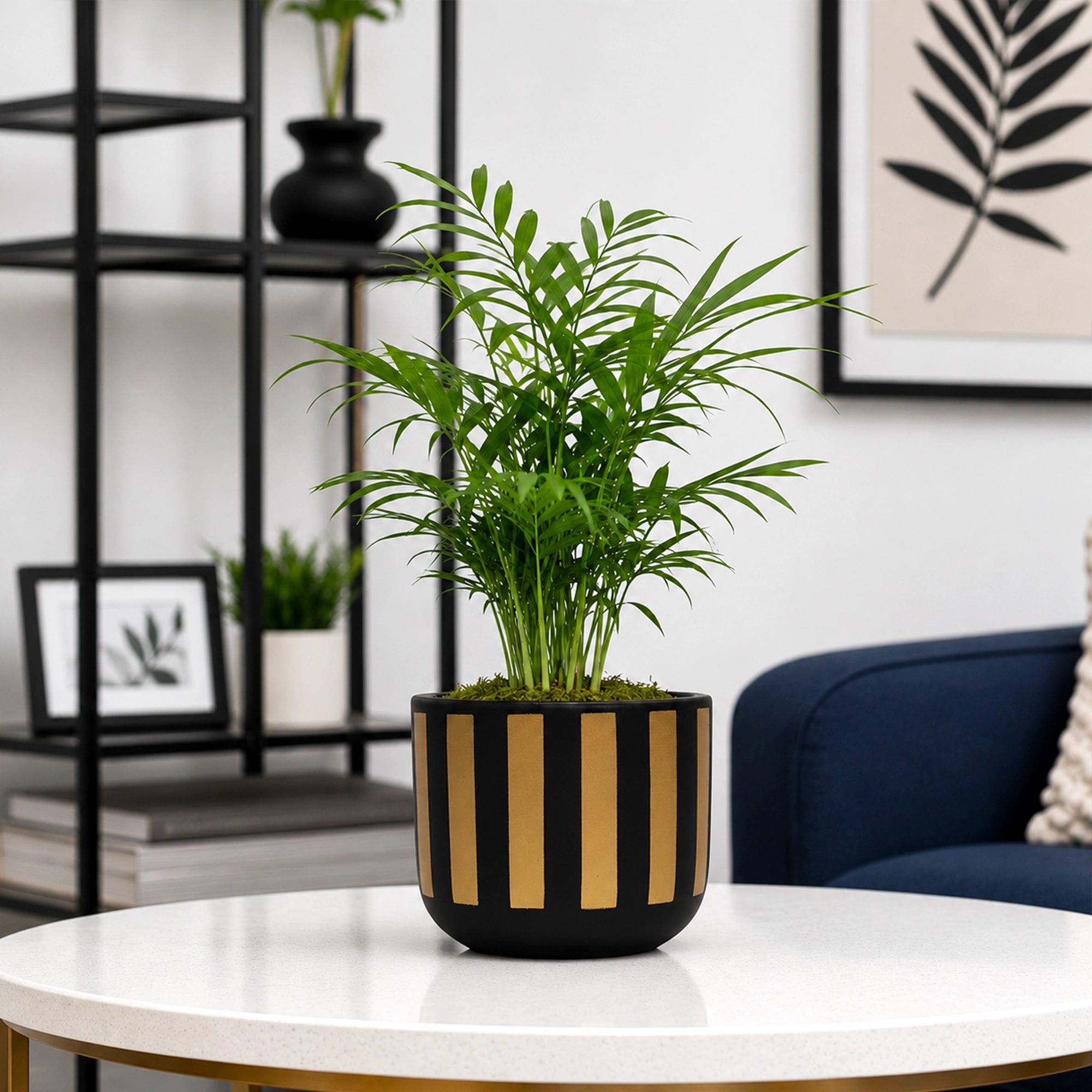 Neo Stripe Terracotta Pot in Black Gold with premium golden vertical stripe design by Urban Plant