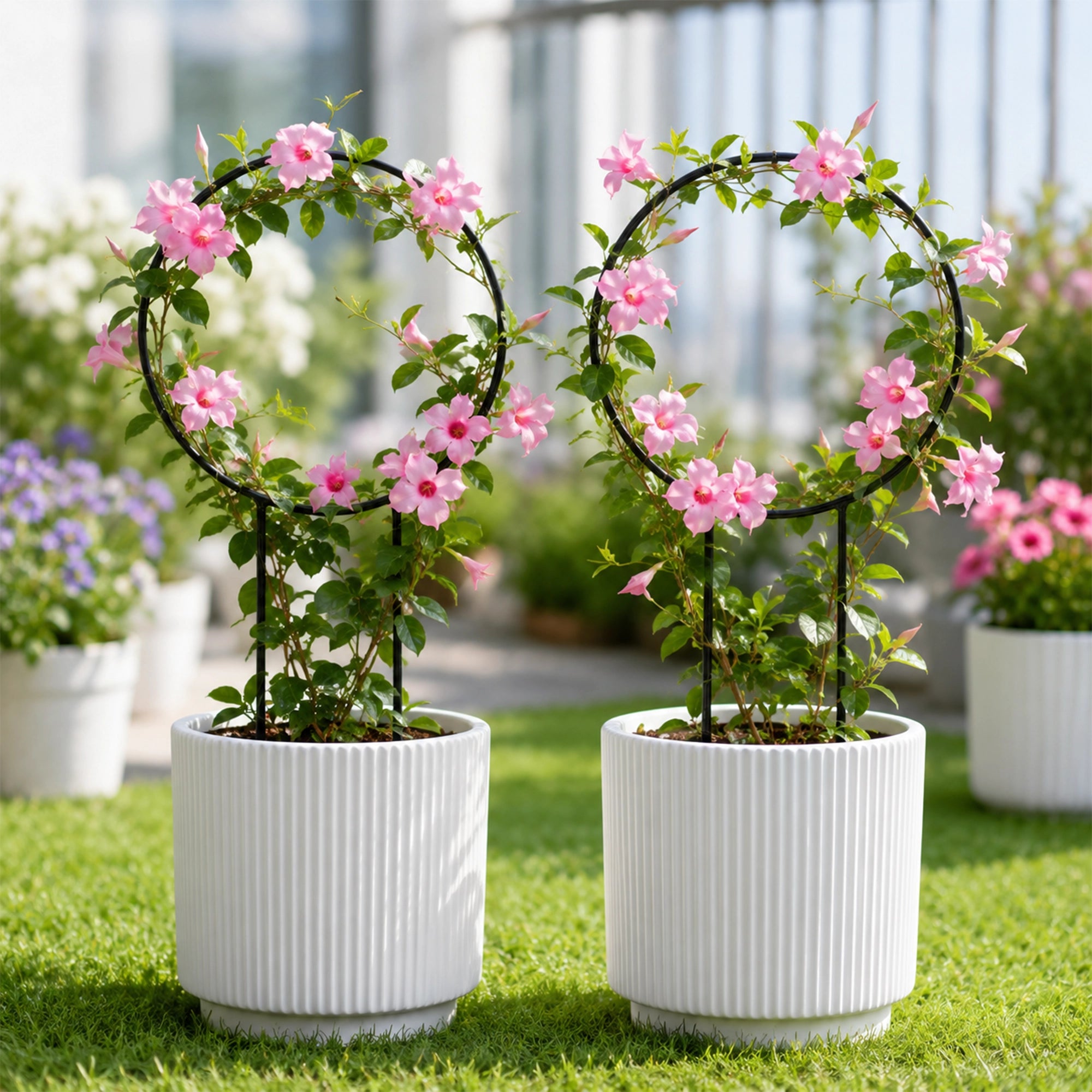 Urban Plant Round Shaped Trellis