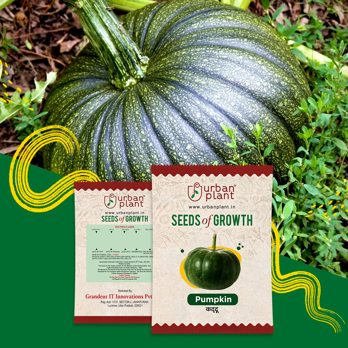 Pumpkin Seeds Urban Plant