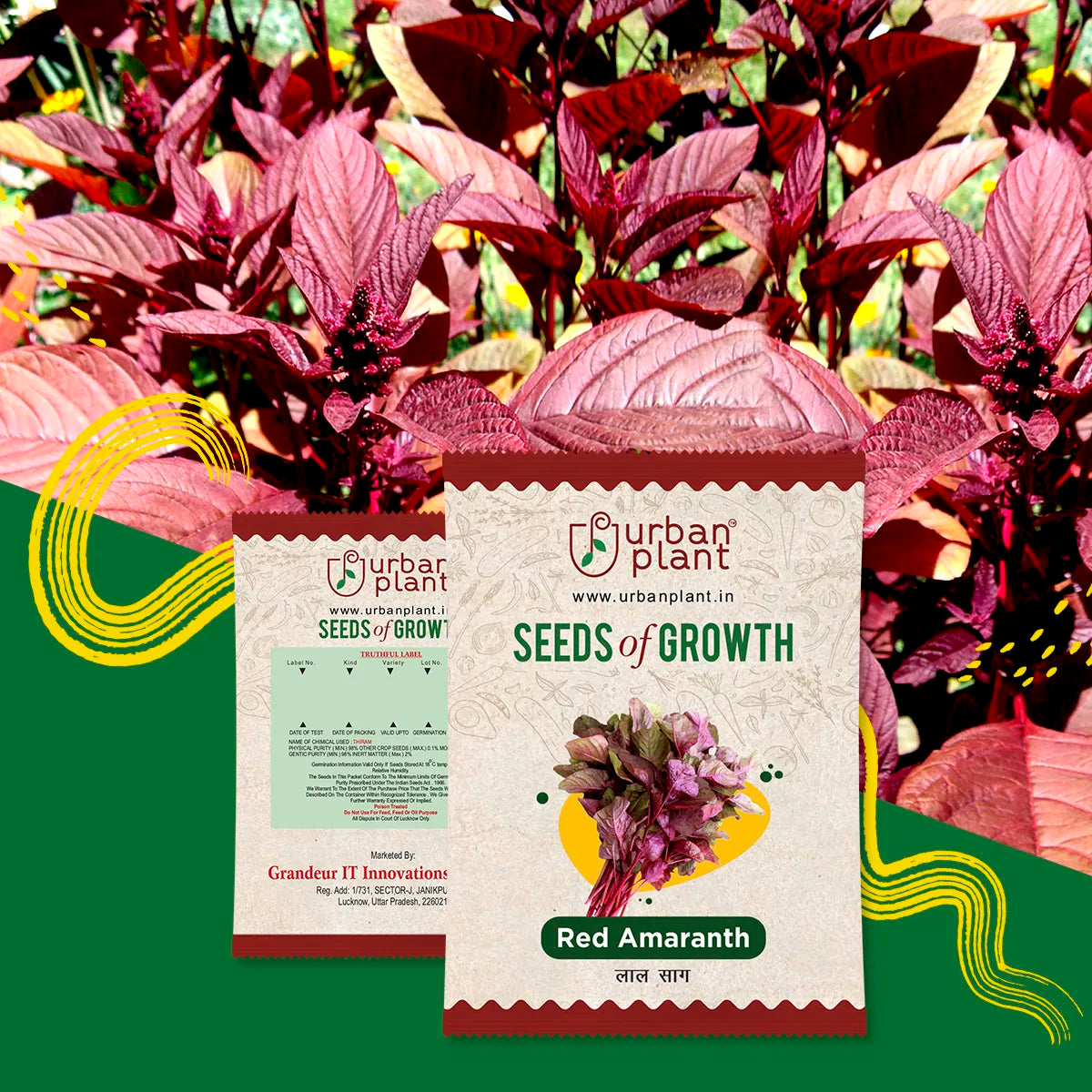 Red Amaranth (Laal Saag) Seeds Urban Plant 