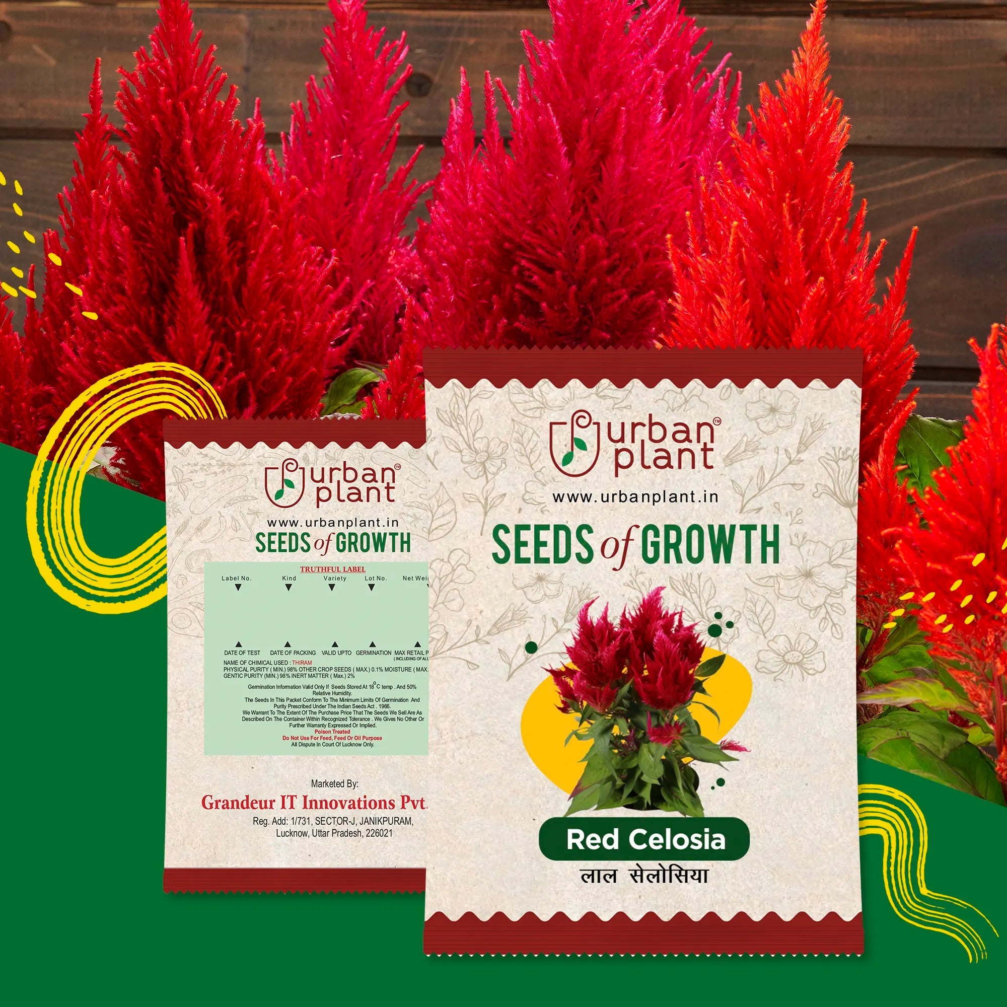 Red Celosia Flower Seeds Urban Plant