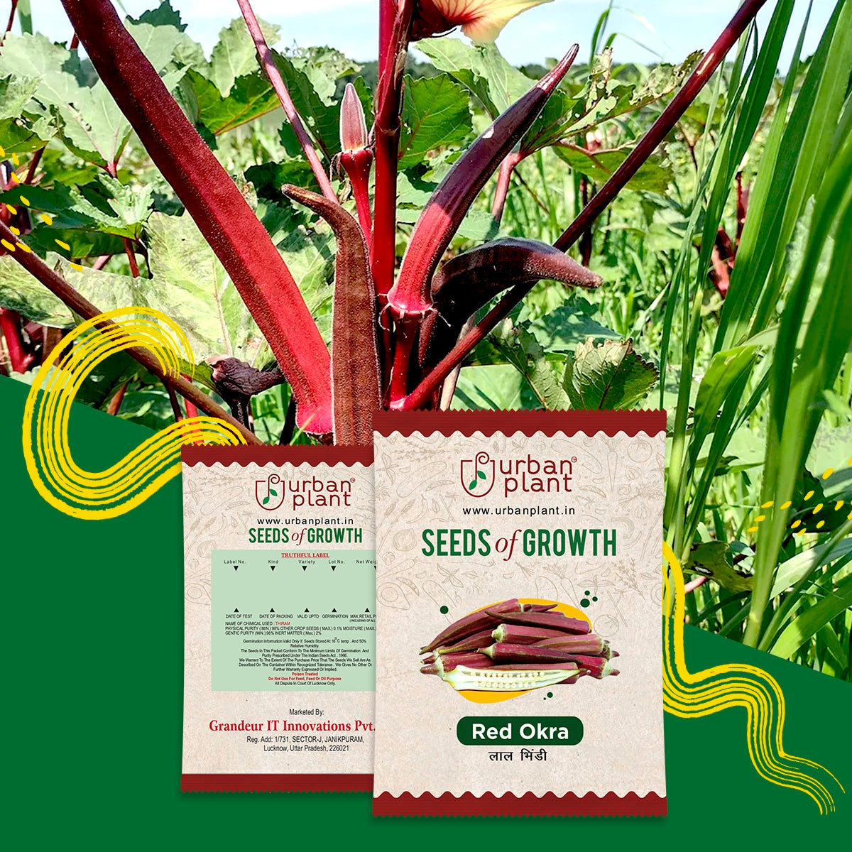 Red Okra Seeds (Lady Finger) Urban Plant