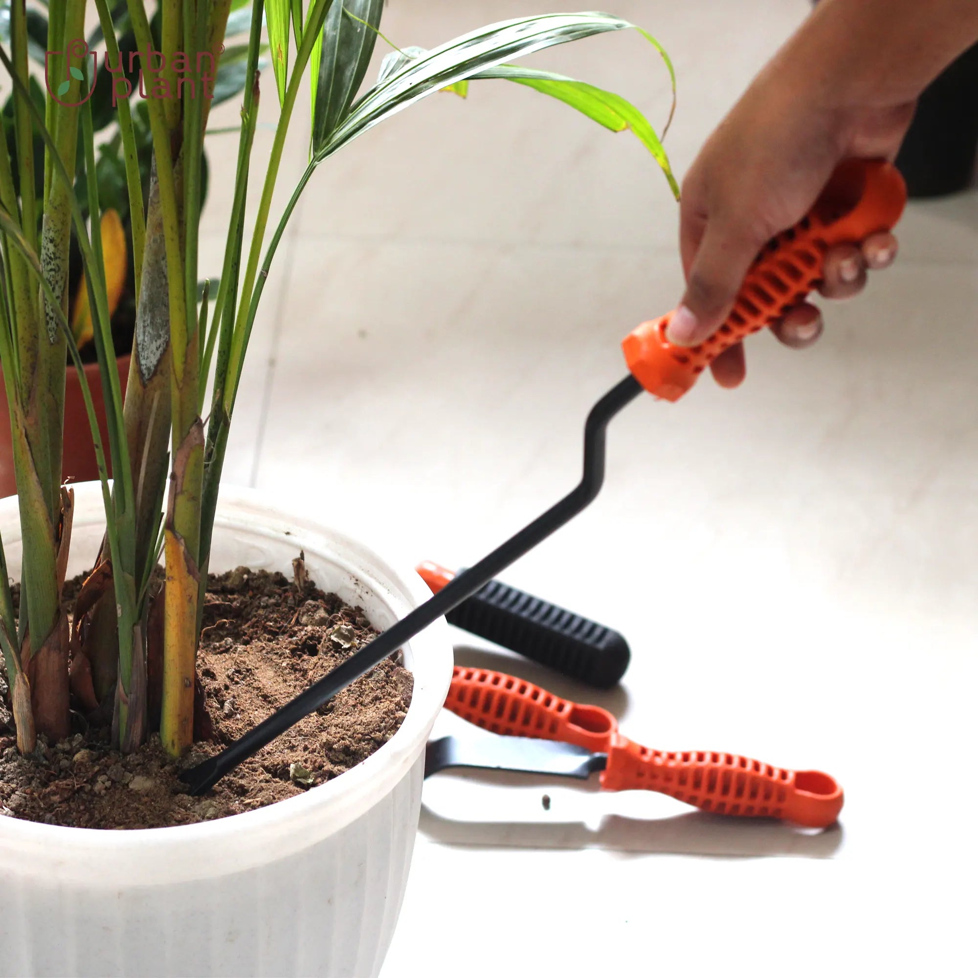 Garden Hand Weeder Urban Plant