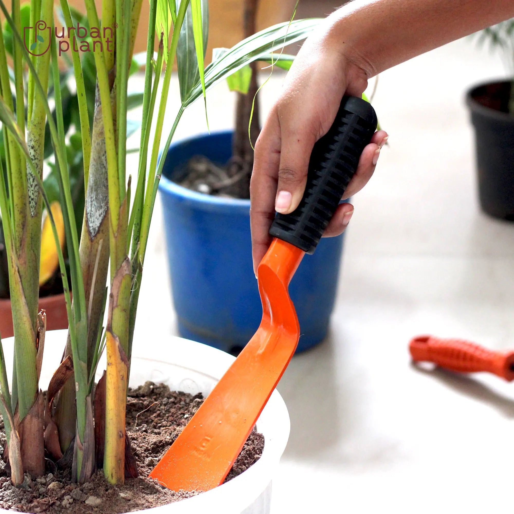 Gardening Khurpa Urban Plant