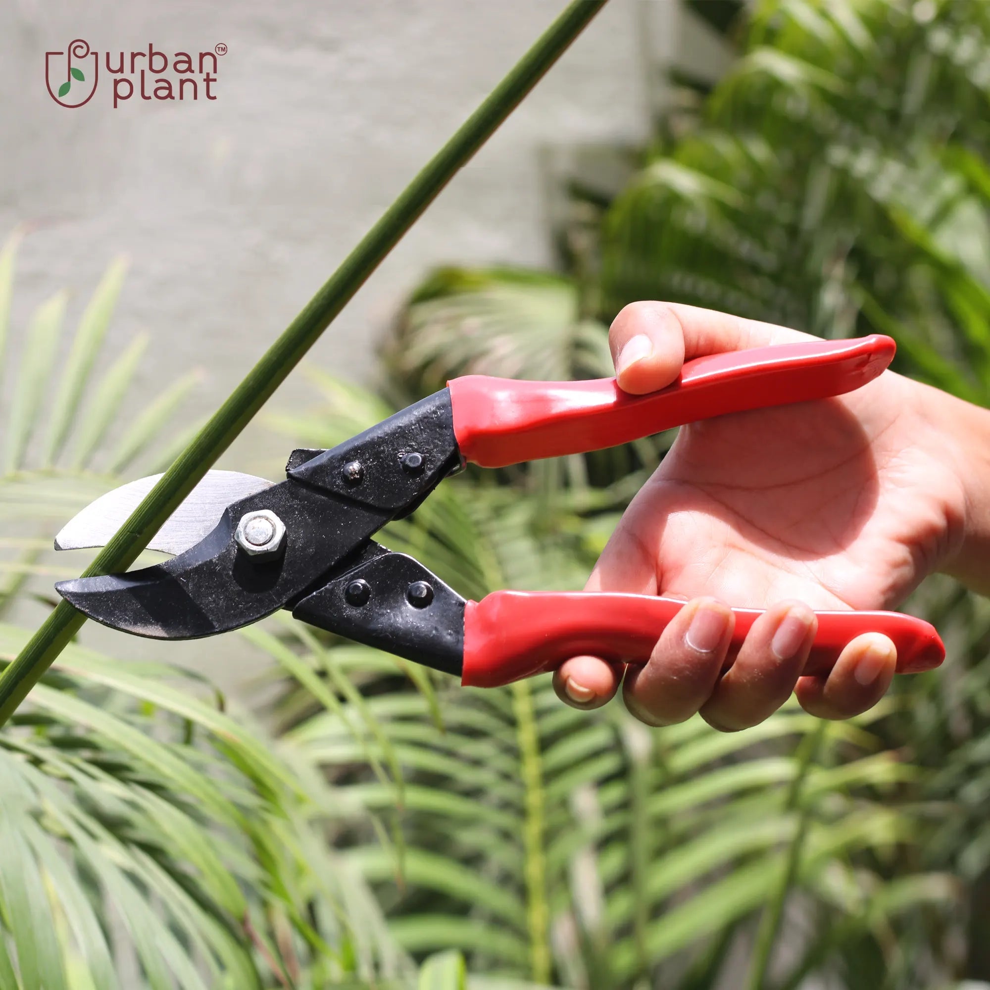 Urban Plant BranchBuddy Pruner Urban Plant