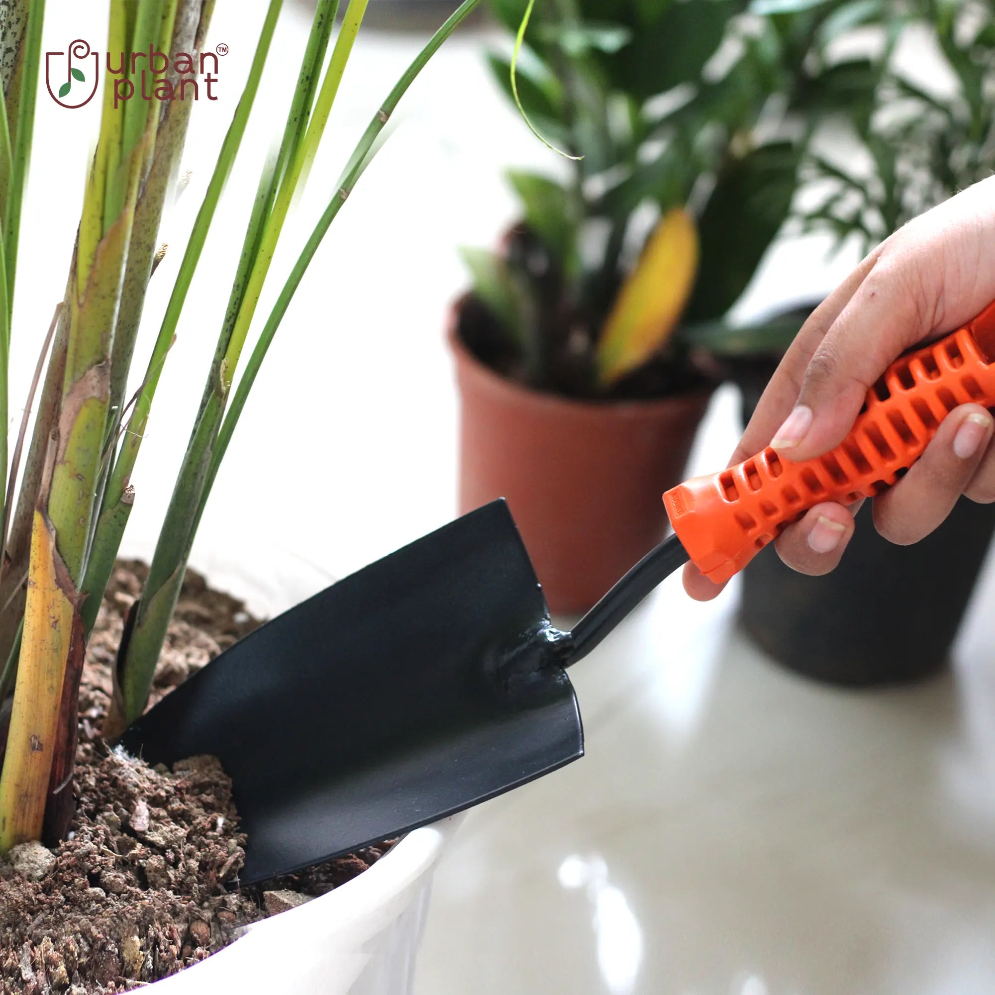 Wide Trowel Transplanter Urban Plant