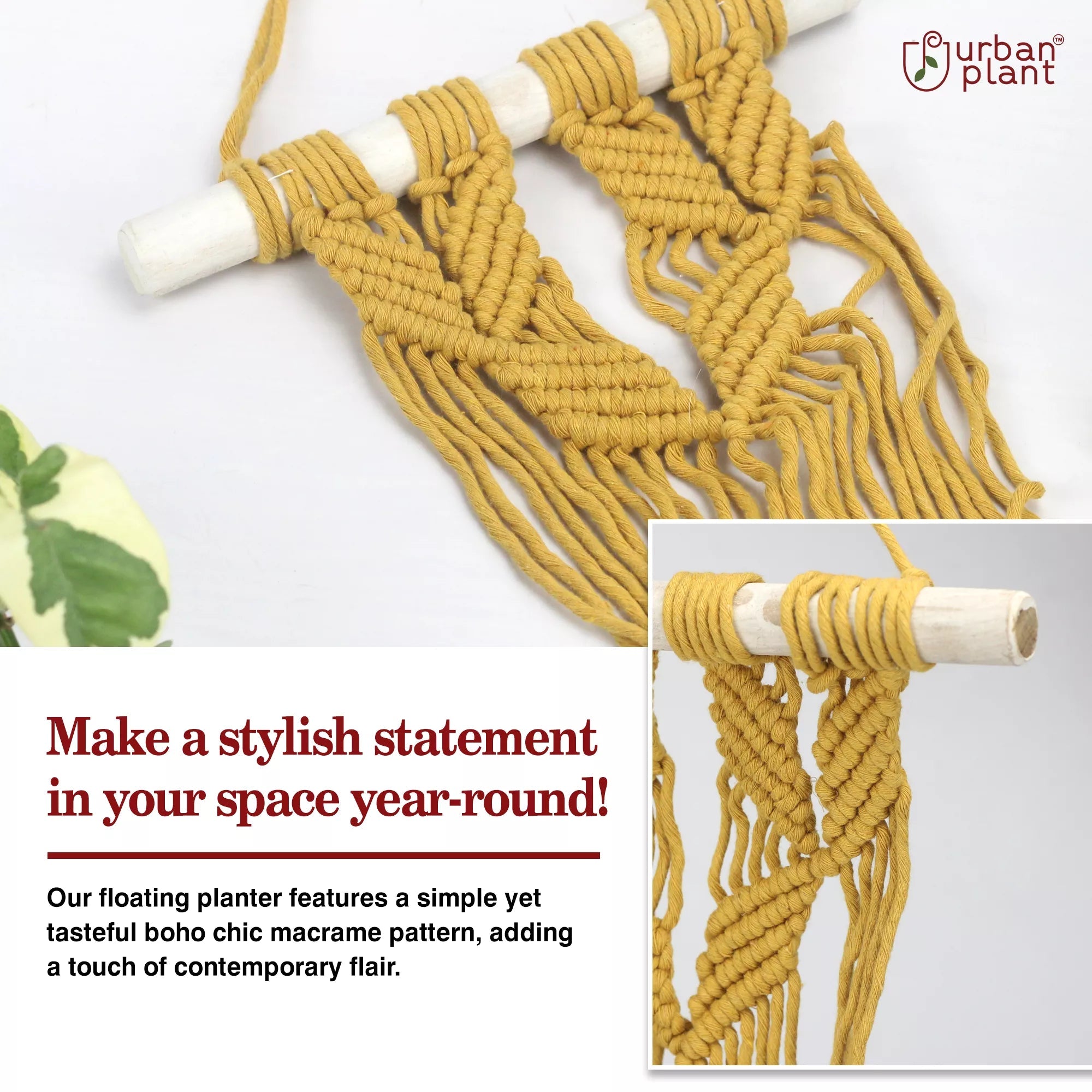 Mustard Bliss Macrame Plant Hanger Hanging Planter Urban Plant