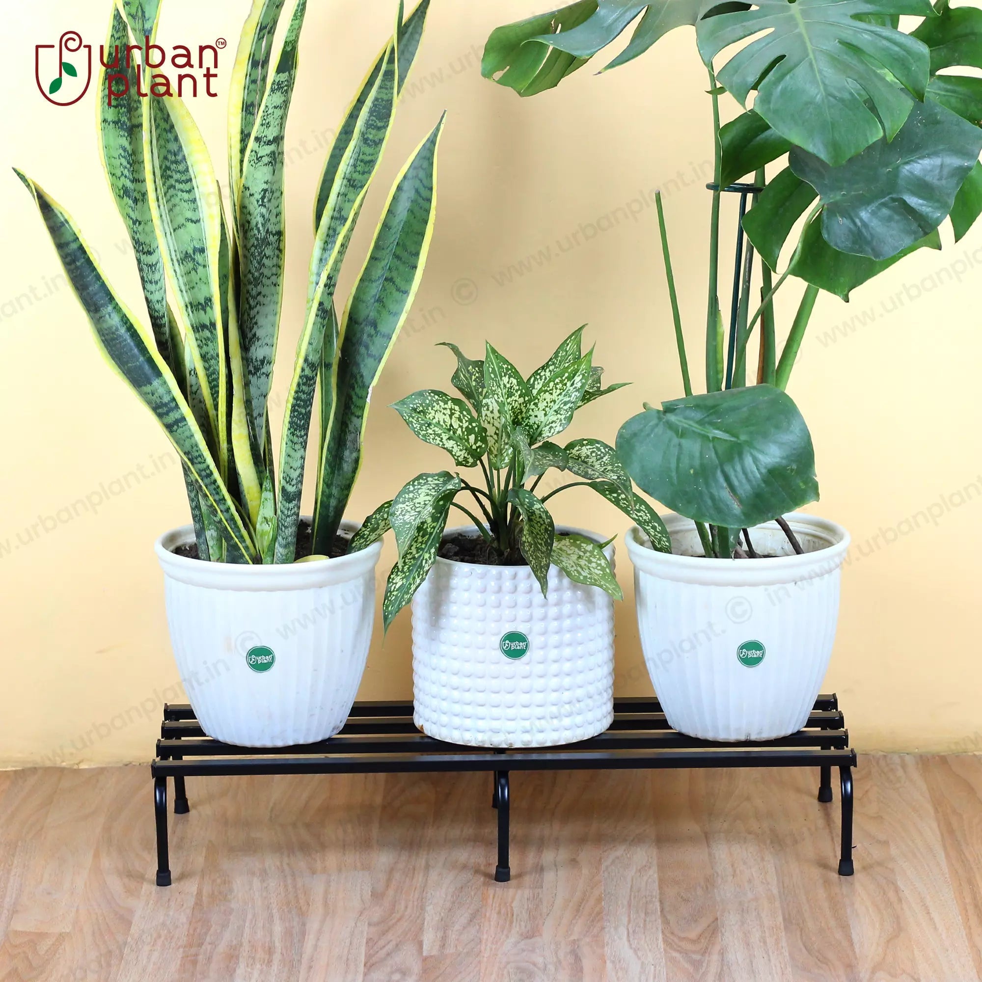 Robust Metal Planter/Pot Stand for Garden - Black Metal Stand Urban Plant