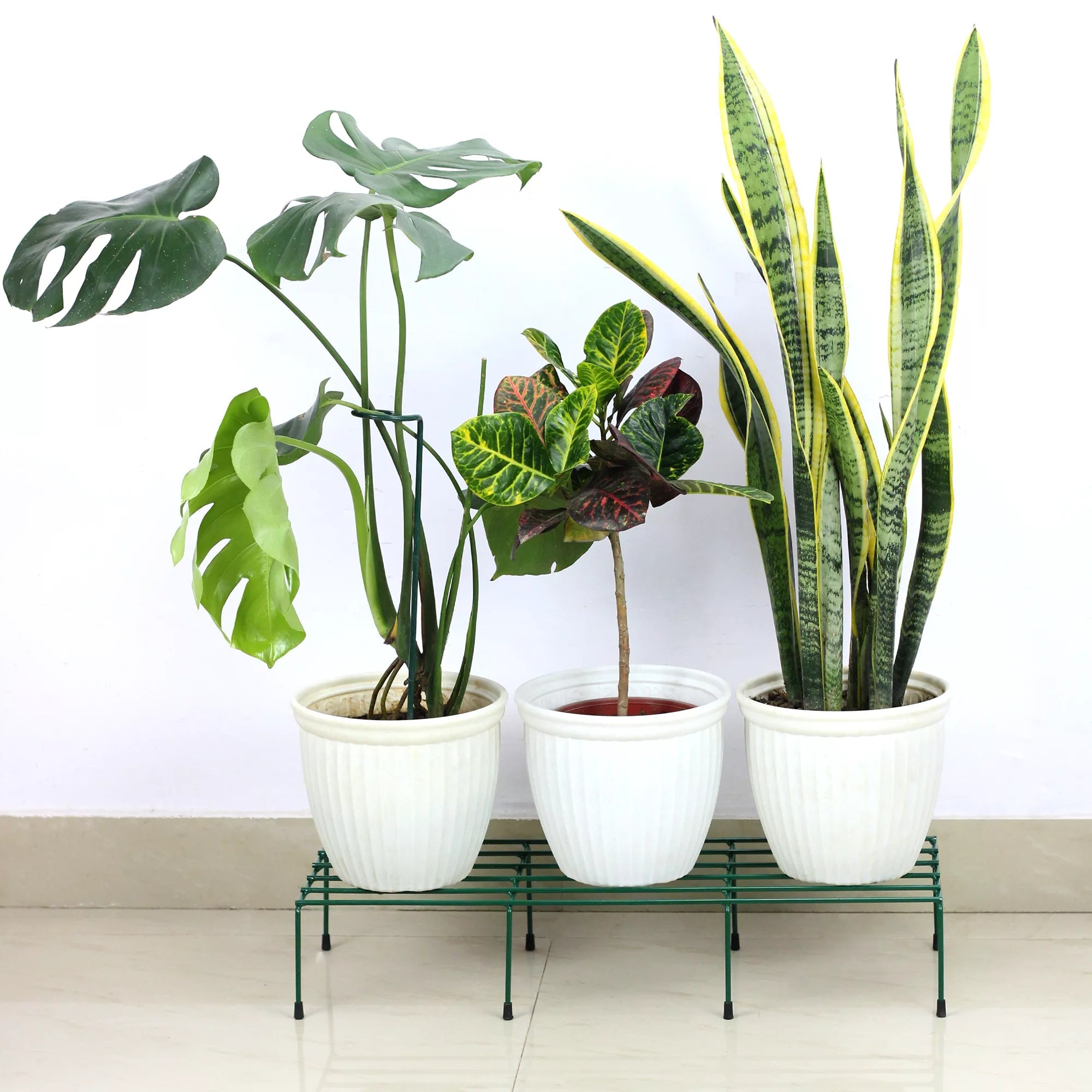 Comrade Metal Planter/Pot Stand for Garden - Green Metal Stand Urban Plant