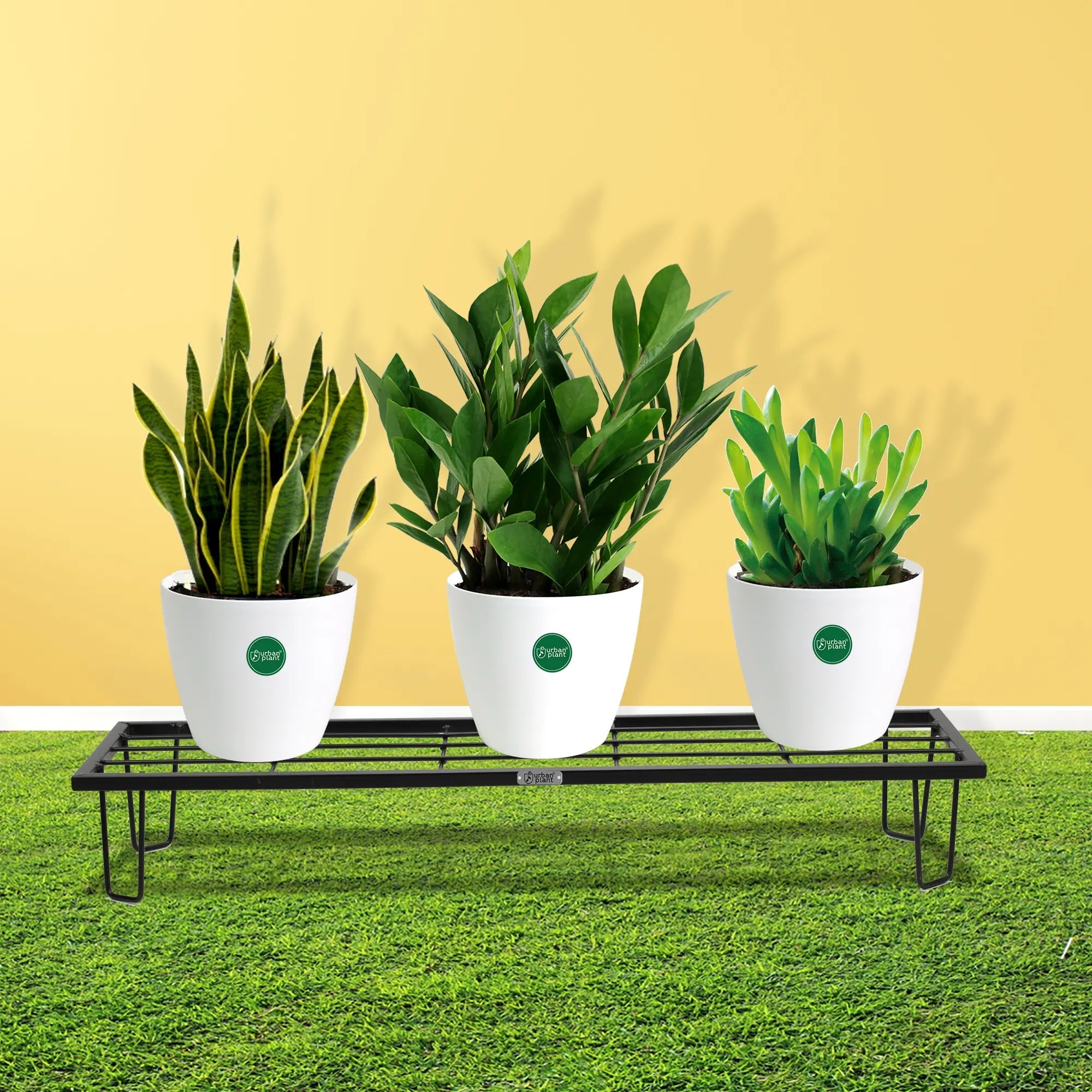 Urban Plant 'Raven' Pot Stands (1173B) Urban Plant