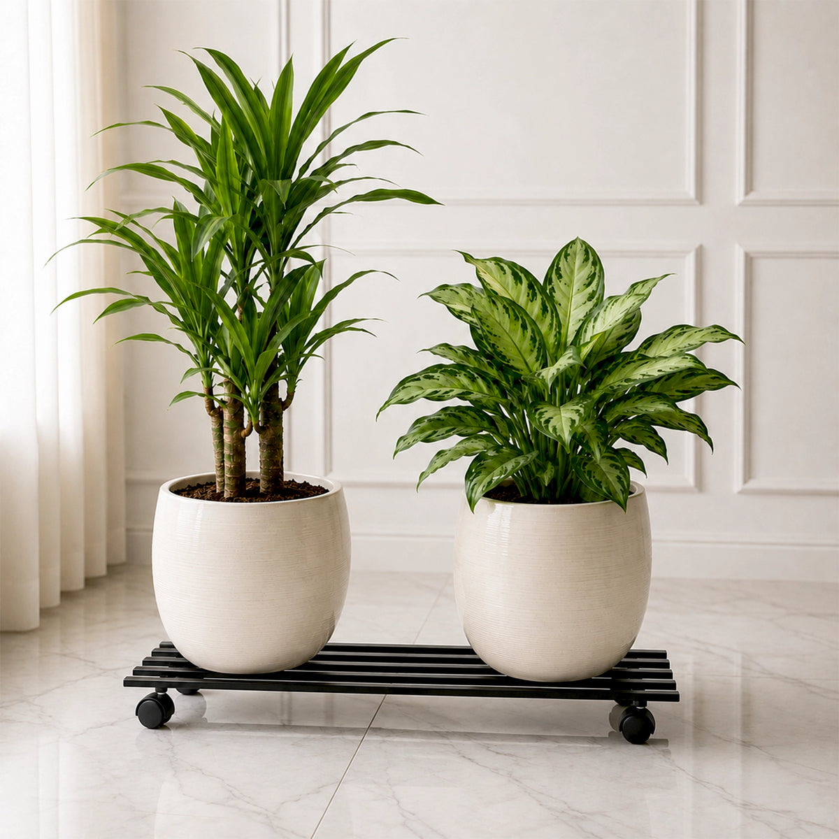 Urban Plant Rectangular Caddy with Wheel Rolling Plant Stand (Set of 4)