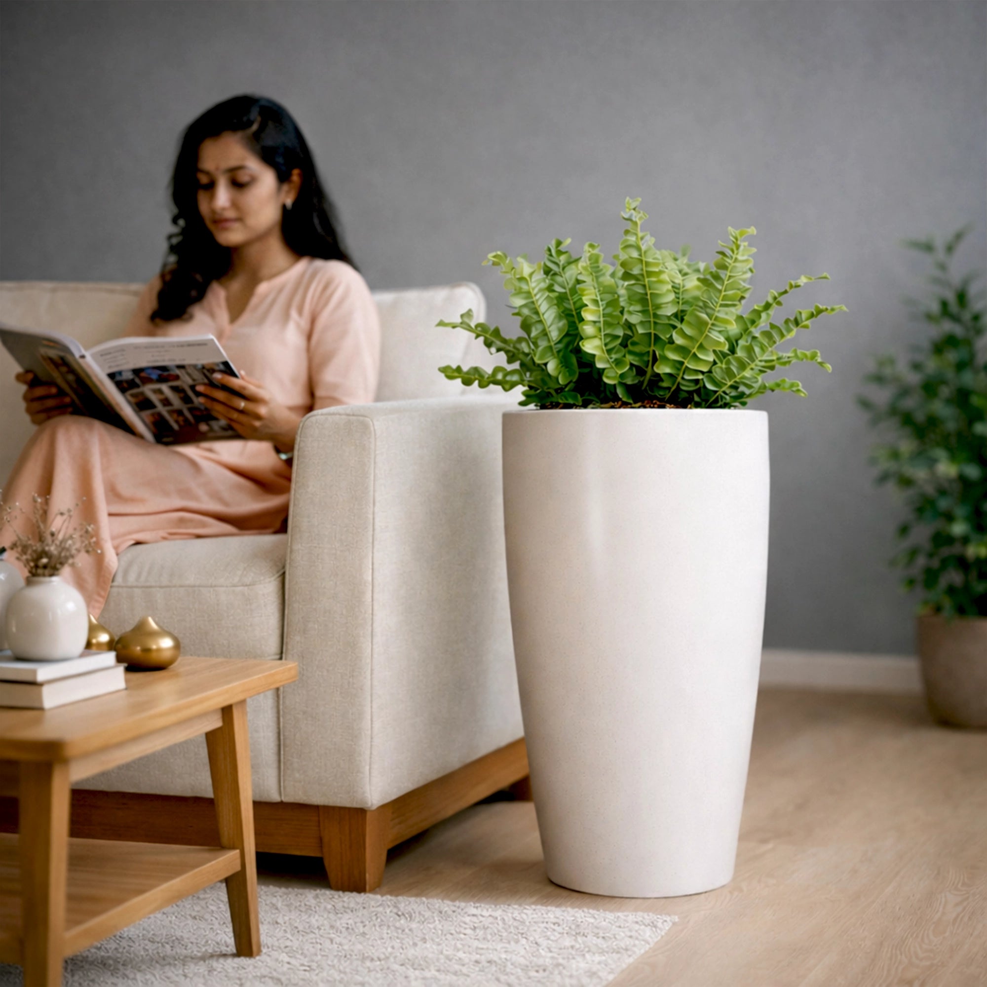 APEX Planter – T24 (5 Years Warranty) use in living room