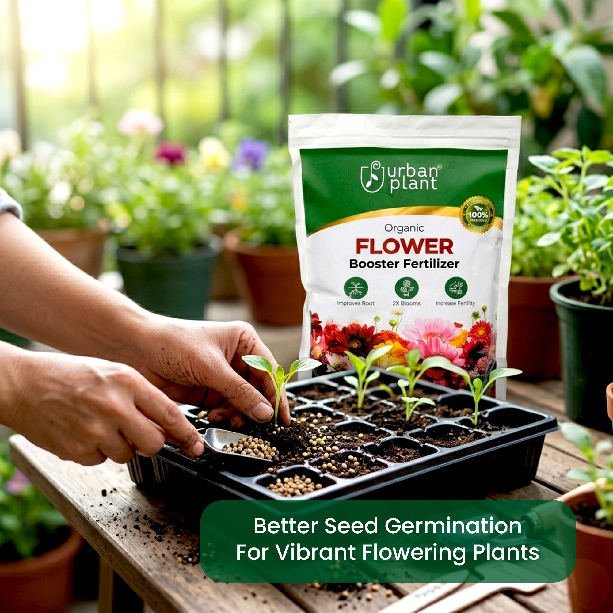 Flower Booster Fertilizer usage