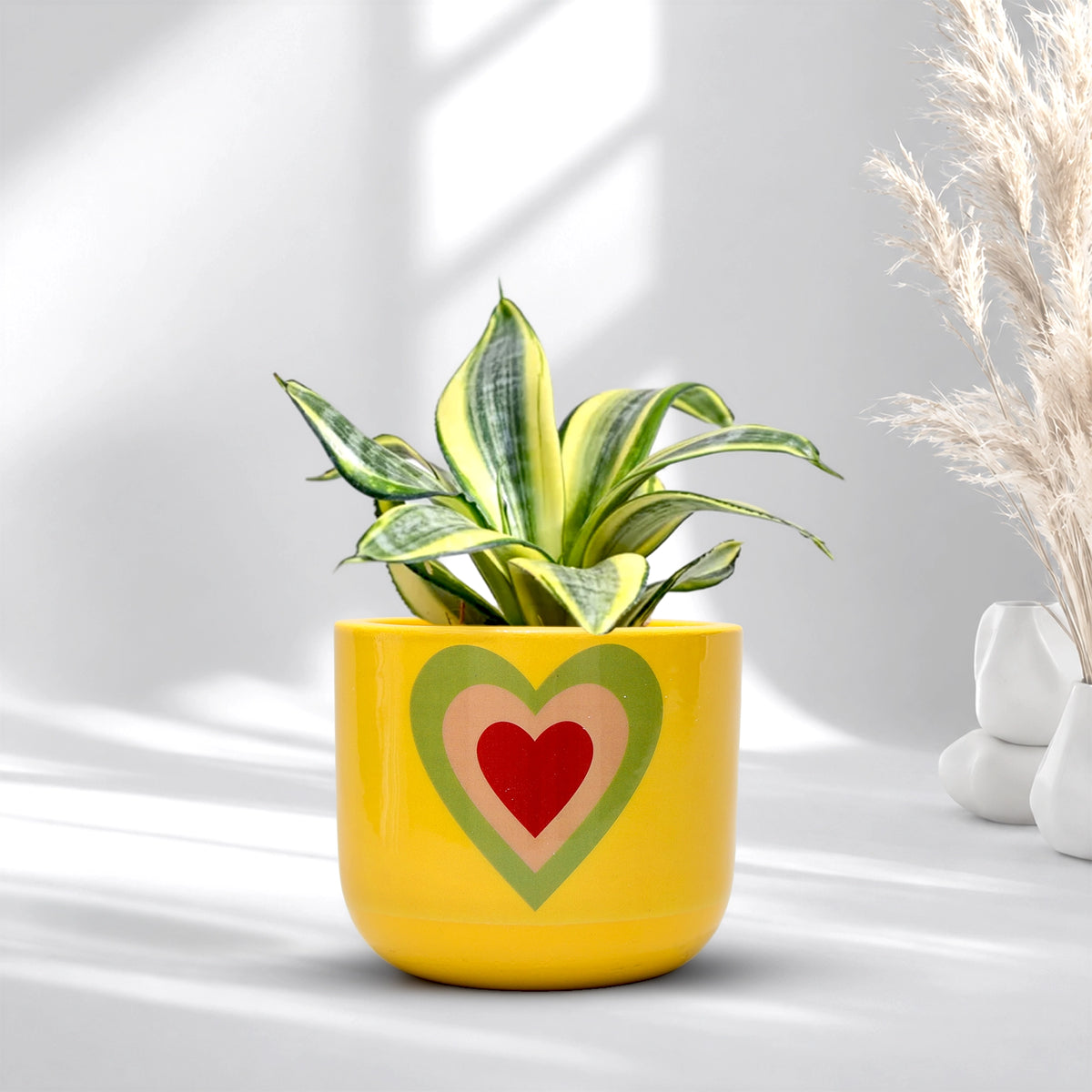 Urban Plant Heart Bloom Terracotta Pot