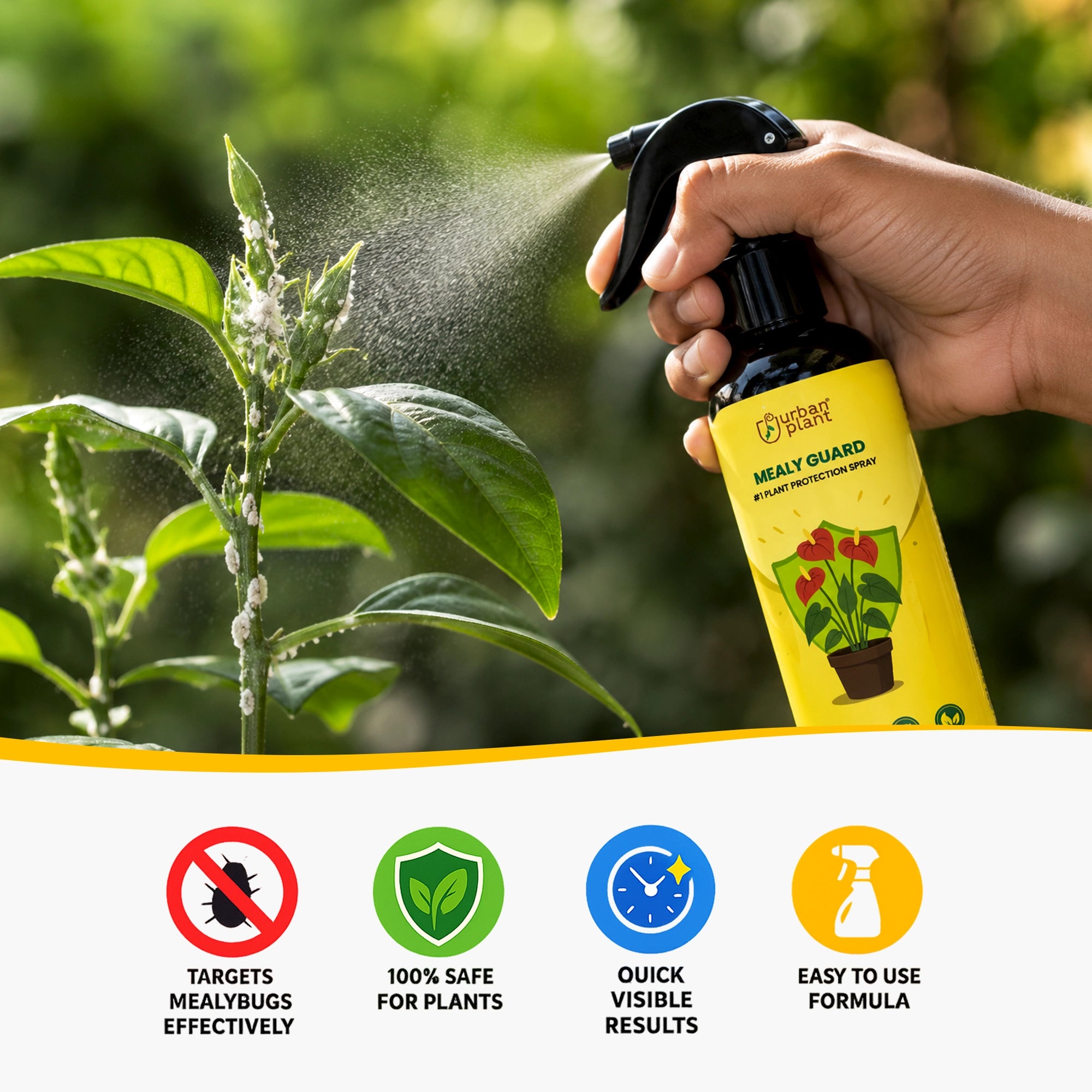 Urban Plant Mealy Guard – Natural Plant Protection Spray for Mealy Bugs & Pests