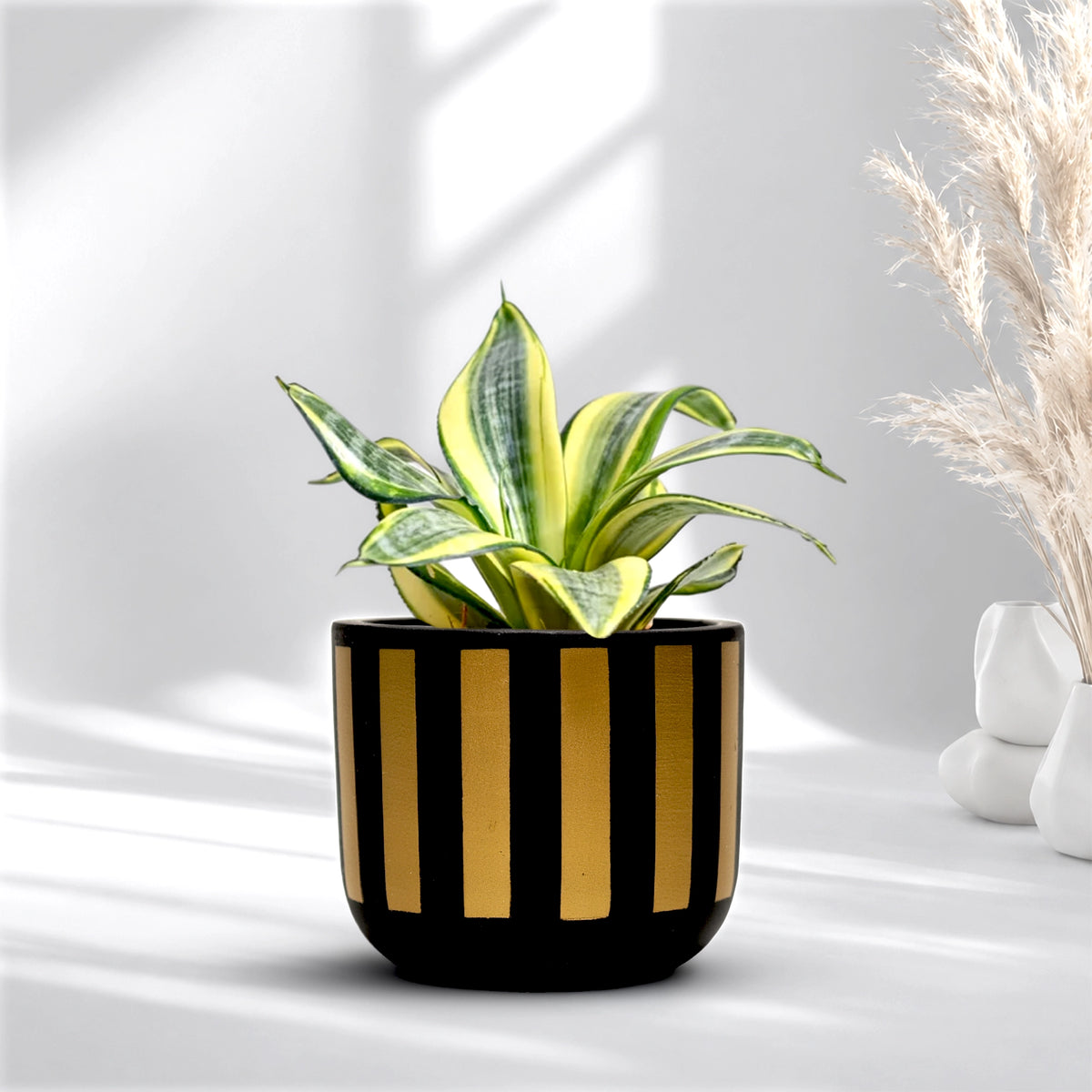 Urban Plant Neo Stripe Terracotta Pot Color Black Gold