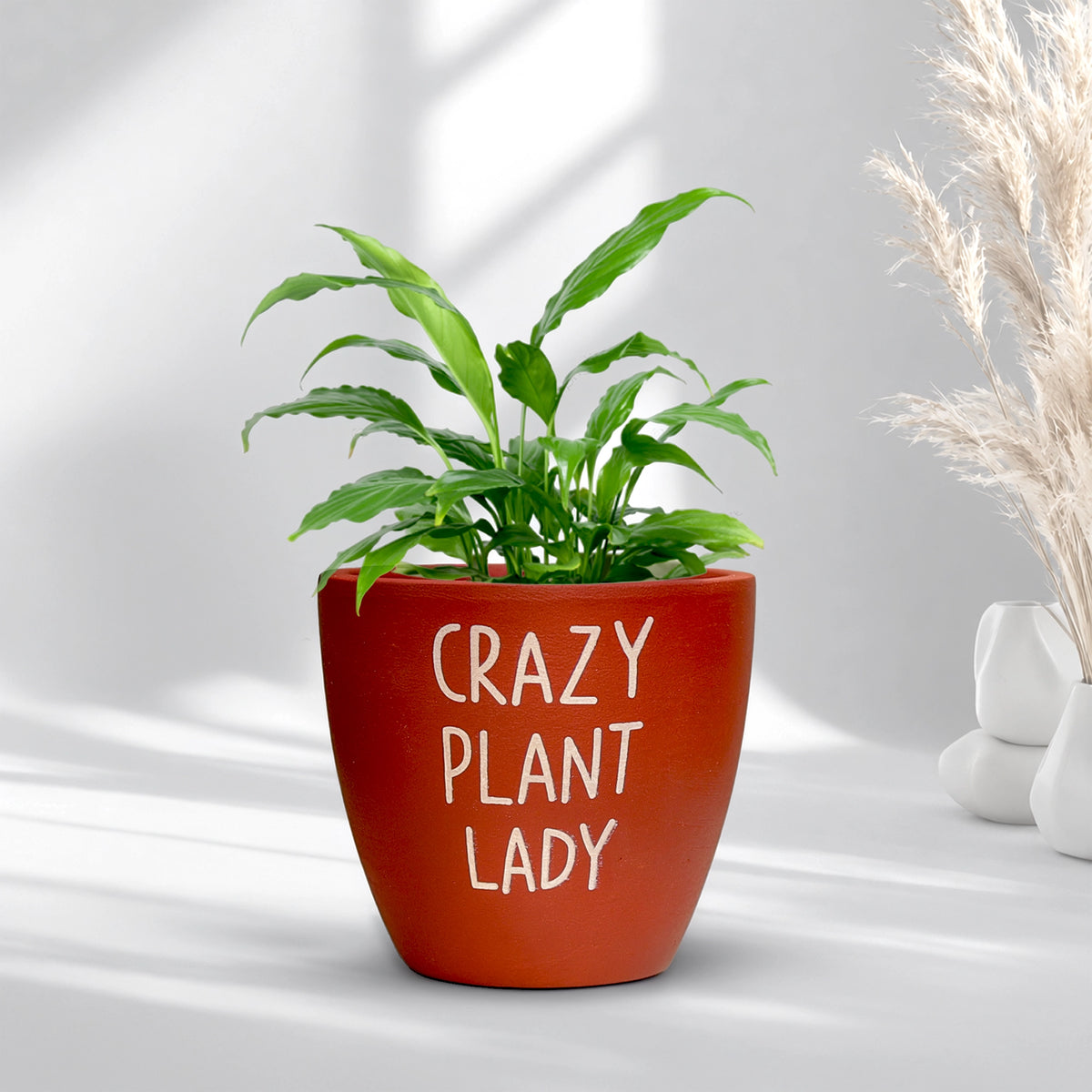 Clay Canvas Terracotta Pot Pattern: Playful