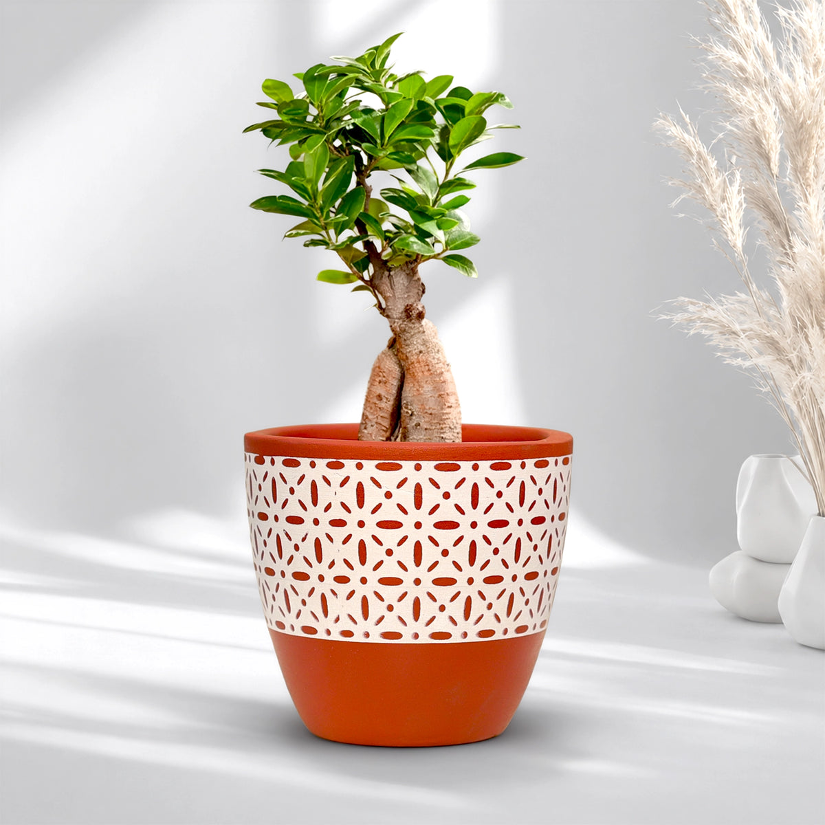 Clay Canvas Terracotta Pot Pattern: Heritage