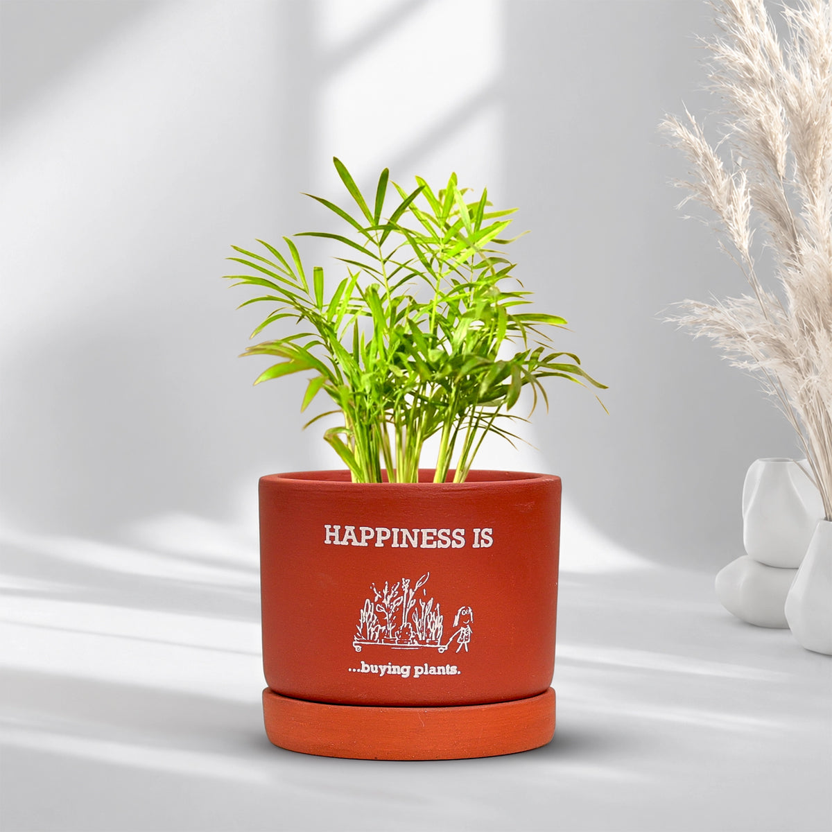 Joy Root Terracotta Pot with Saucer Pattern: Happy Plant