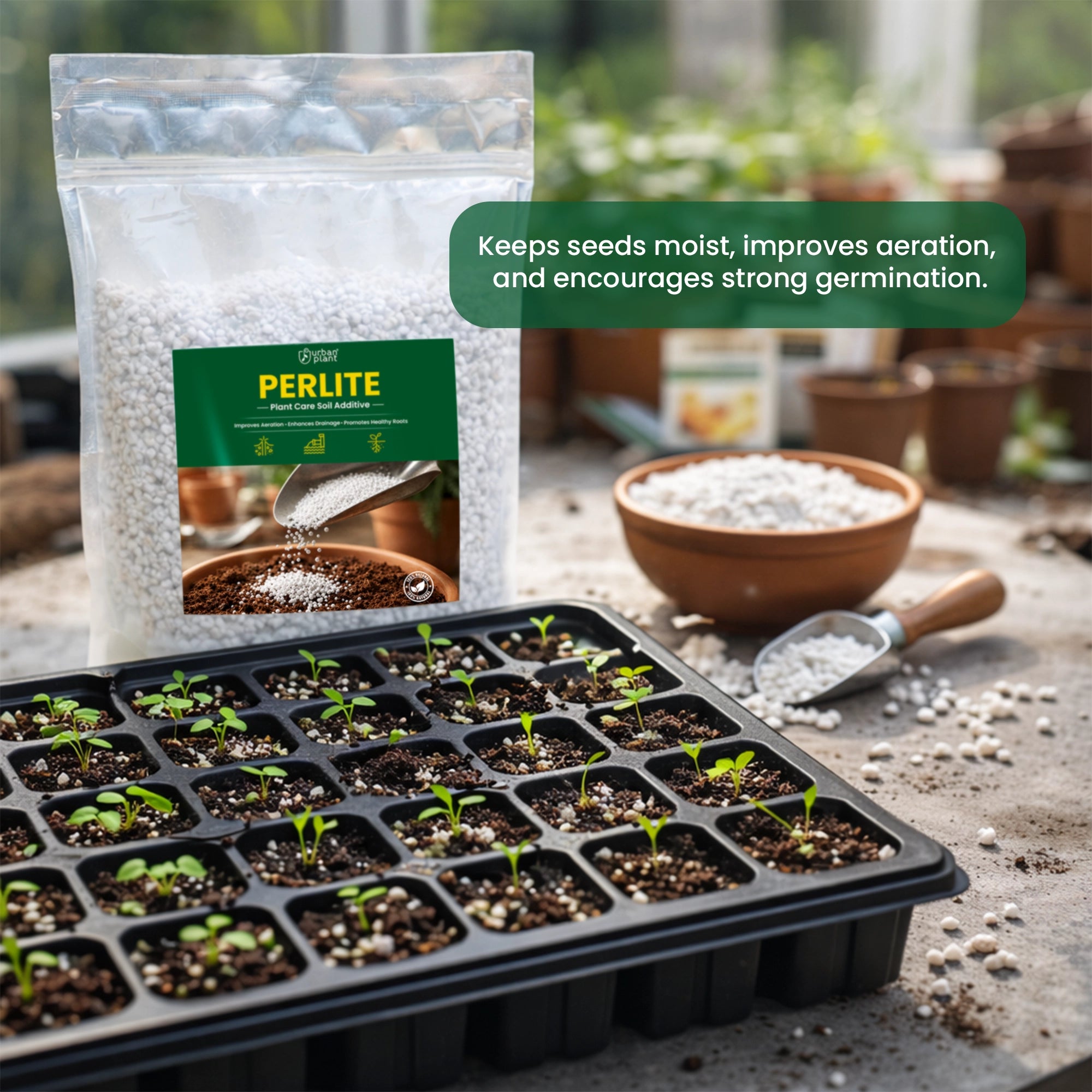 Perlite for Potting Soil Mix Urban Plant 250 Gram for strong plant root