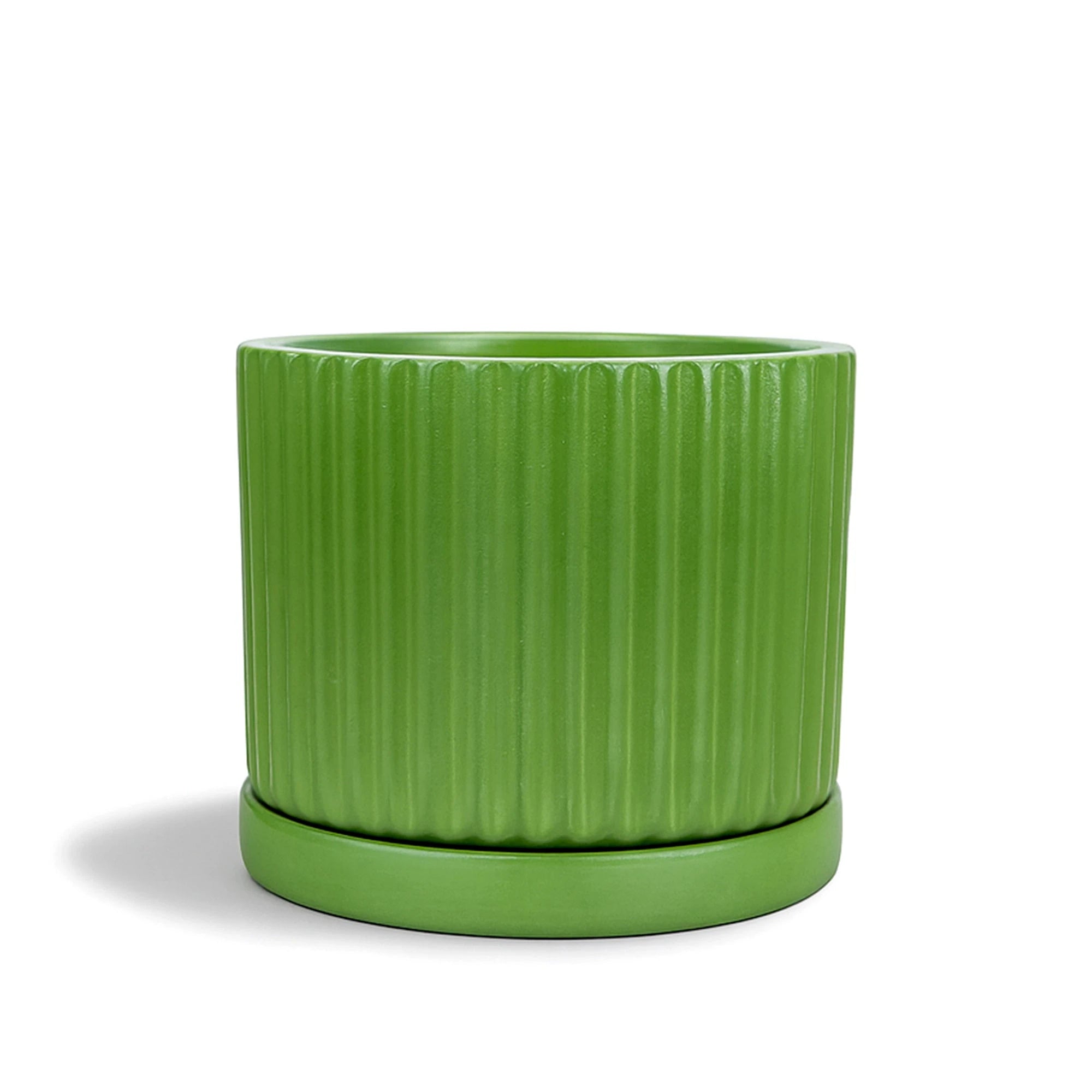 Fresh Breath Terracotta Pot with Saucer Urban Plant