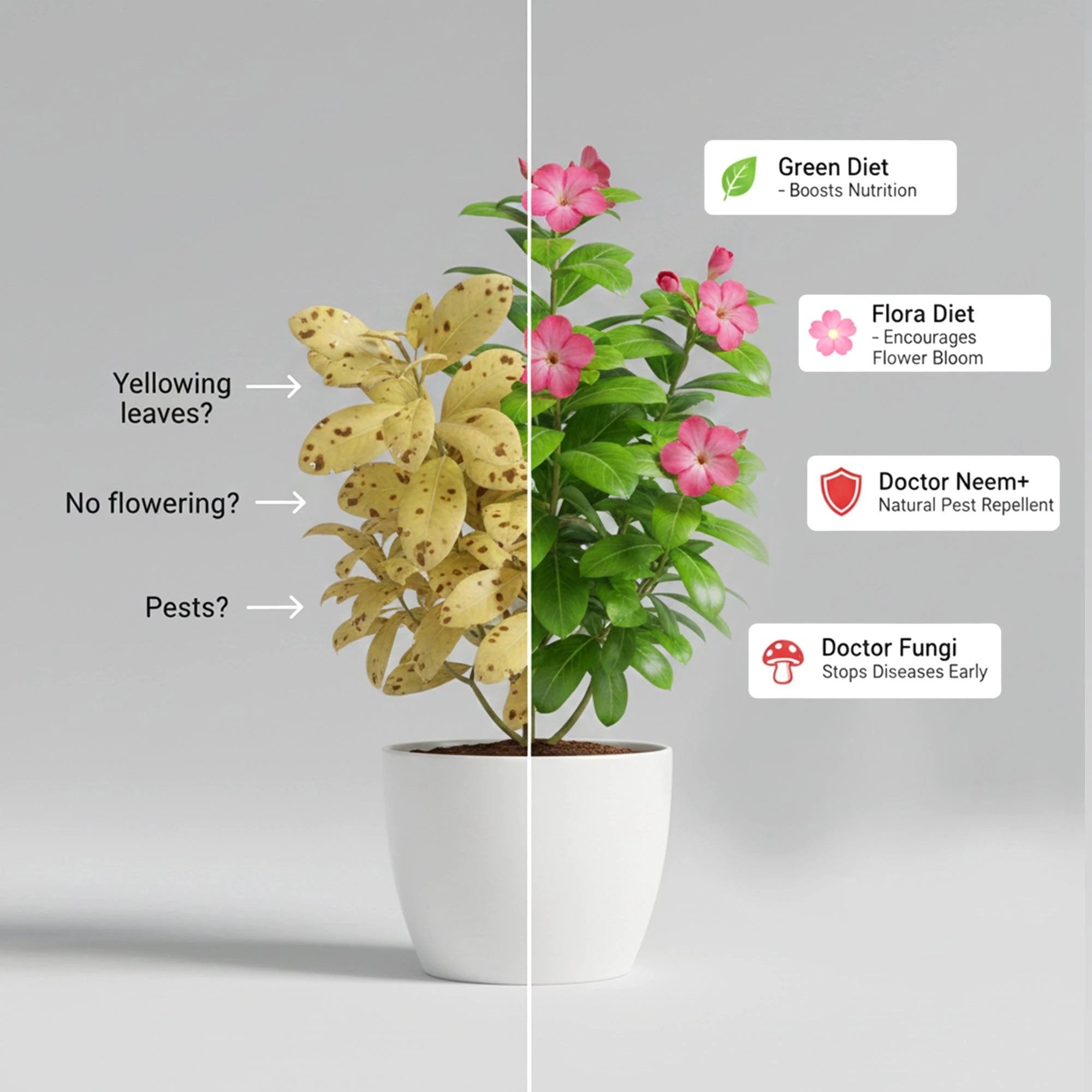 Urban Plant Premium Bloom & Grow Fertilizer Combo Kit Fertilizer Urban Plant