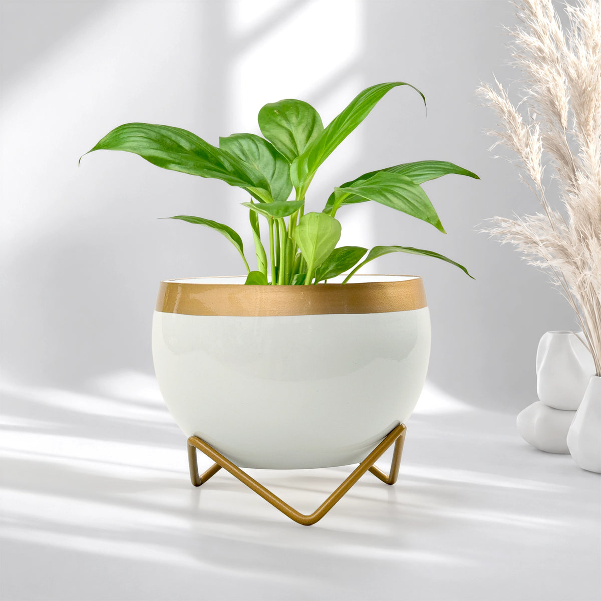 Petite Metal Pots